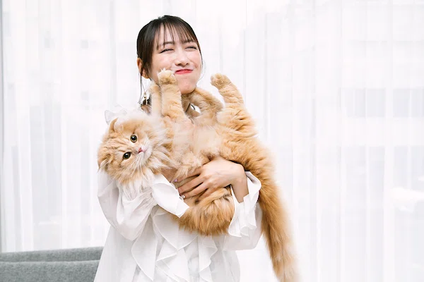 キミとねこ。―高城れにとZ＆ZZ―｜ヤマト運輸公式note