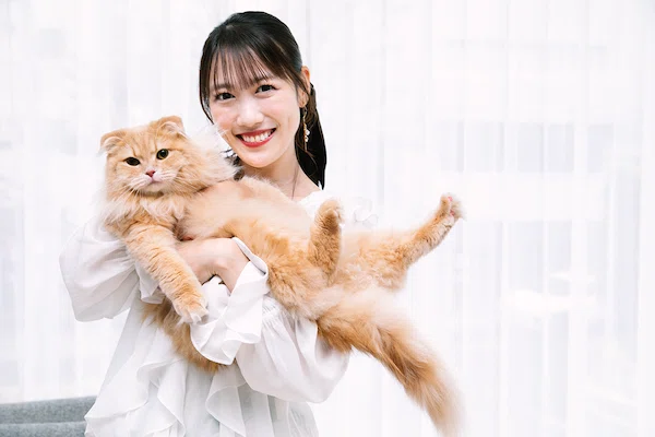 猫運輸 キミとねこ。―高城れにとZ＆ZZ―｜ヤマト運輸公式note