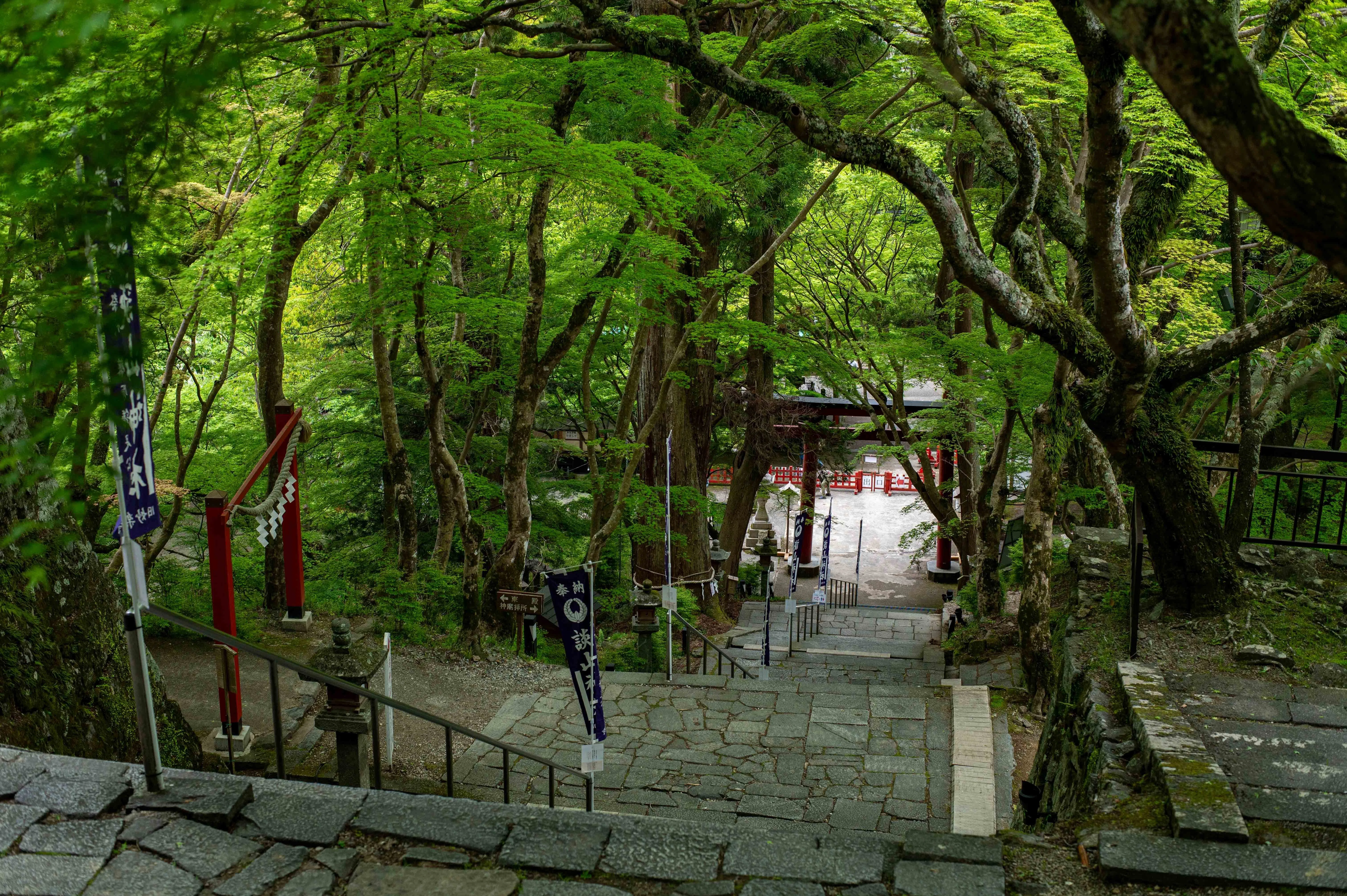 No.30｜2026.GW｜新緑｜緑あざやかな談山神社｜ごりお