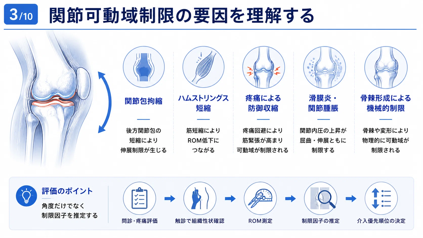 変形性膝関節症（膝OA）の病態理解と機能改善アプローチ〜疼痛・歩行
