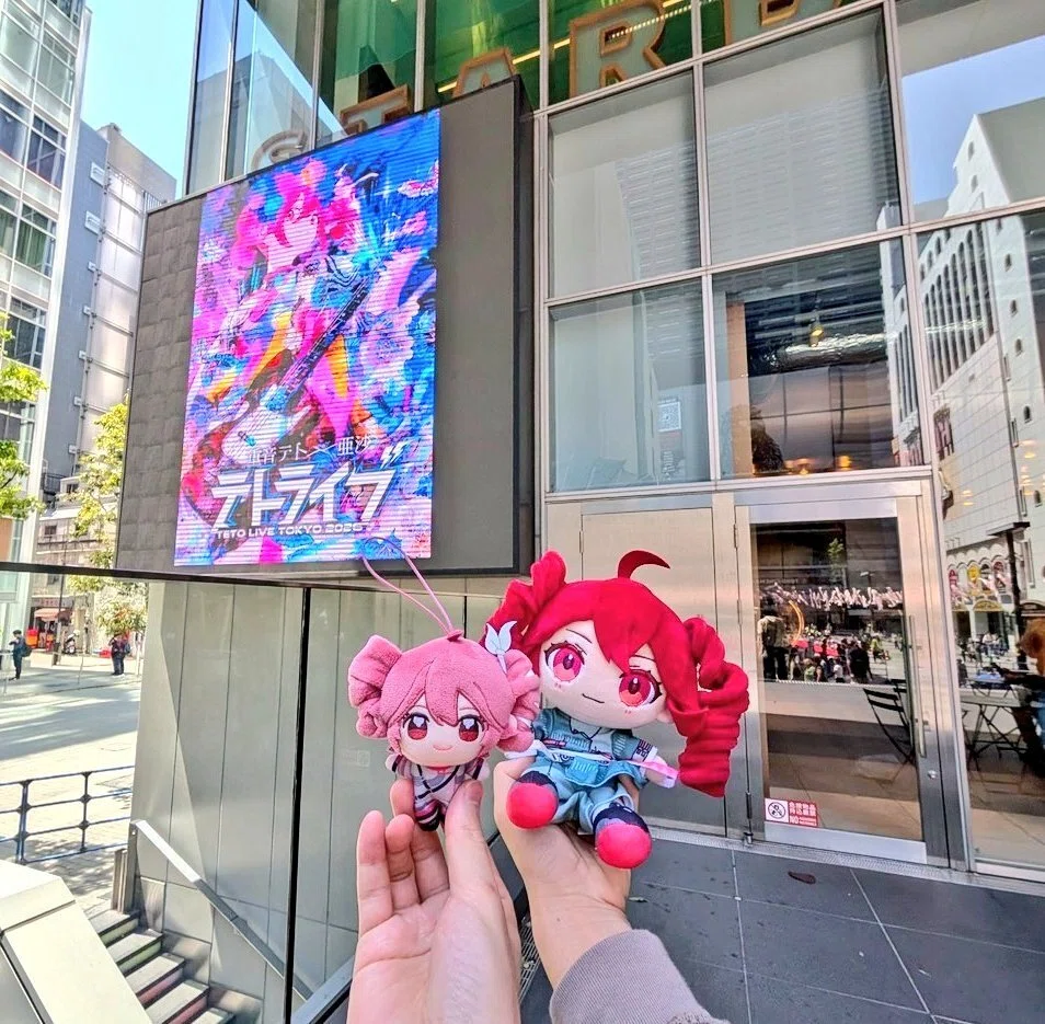 🔻🔻テトライブ2026、初参加してきた。｜halohalo_6e6e