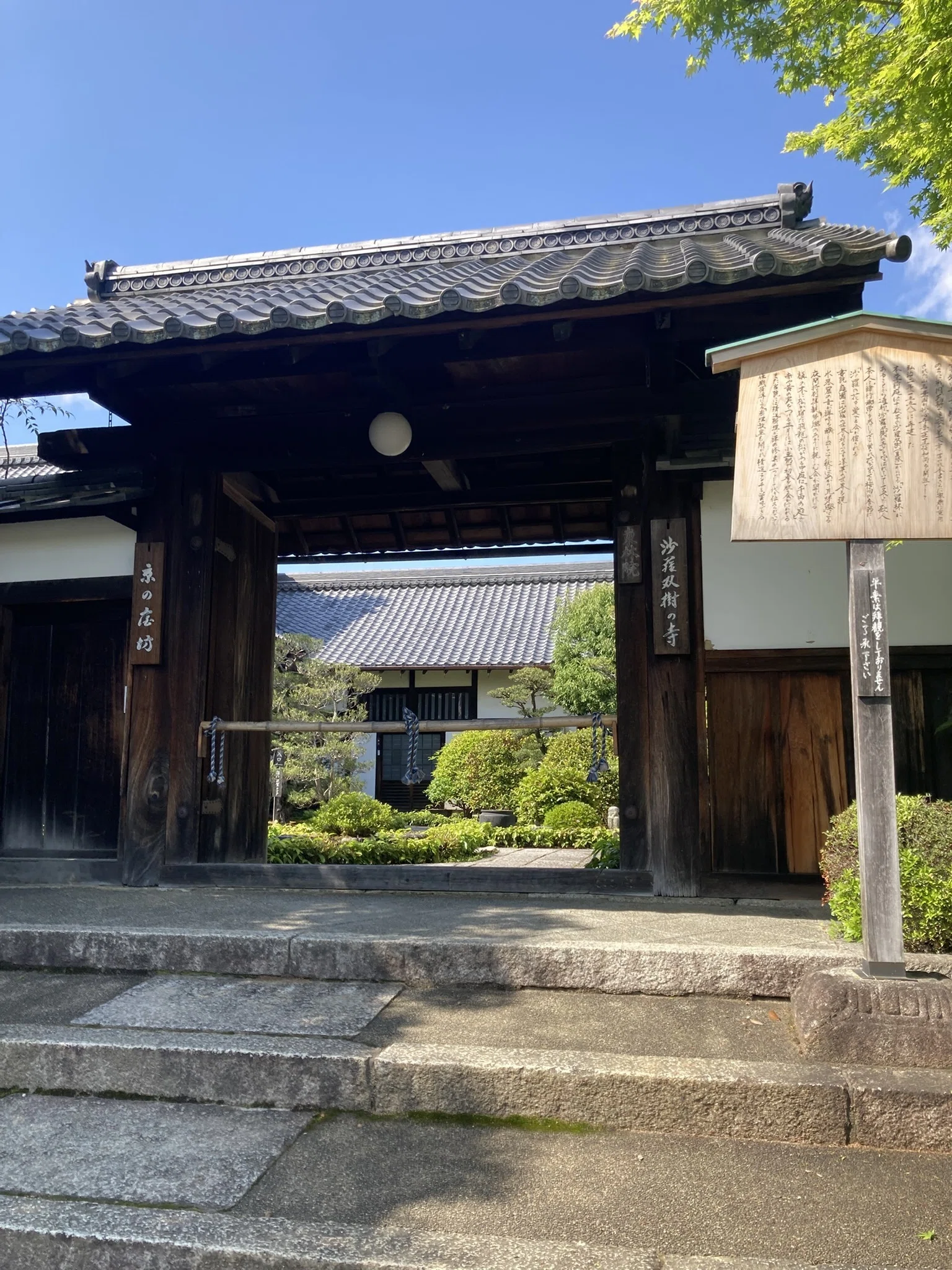 妙心寺③大雄院ほか(20260427)|やまいつ 妙心寺③大雄院ほか(20260427)|やまいつ
