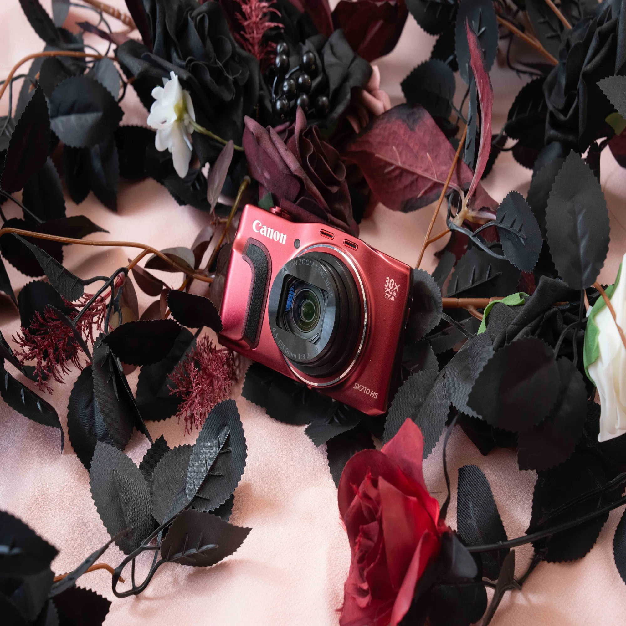 爆速AFに驚く。2015年の名機 Canon PowerShot SX710 HSが今、面白い 