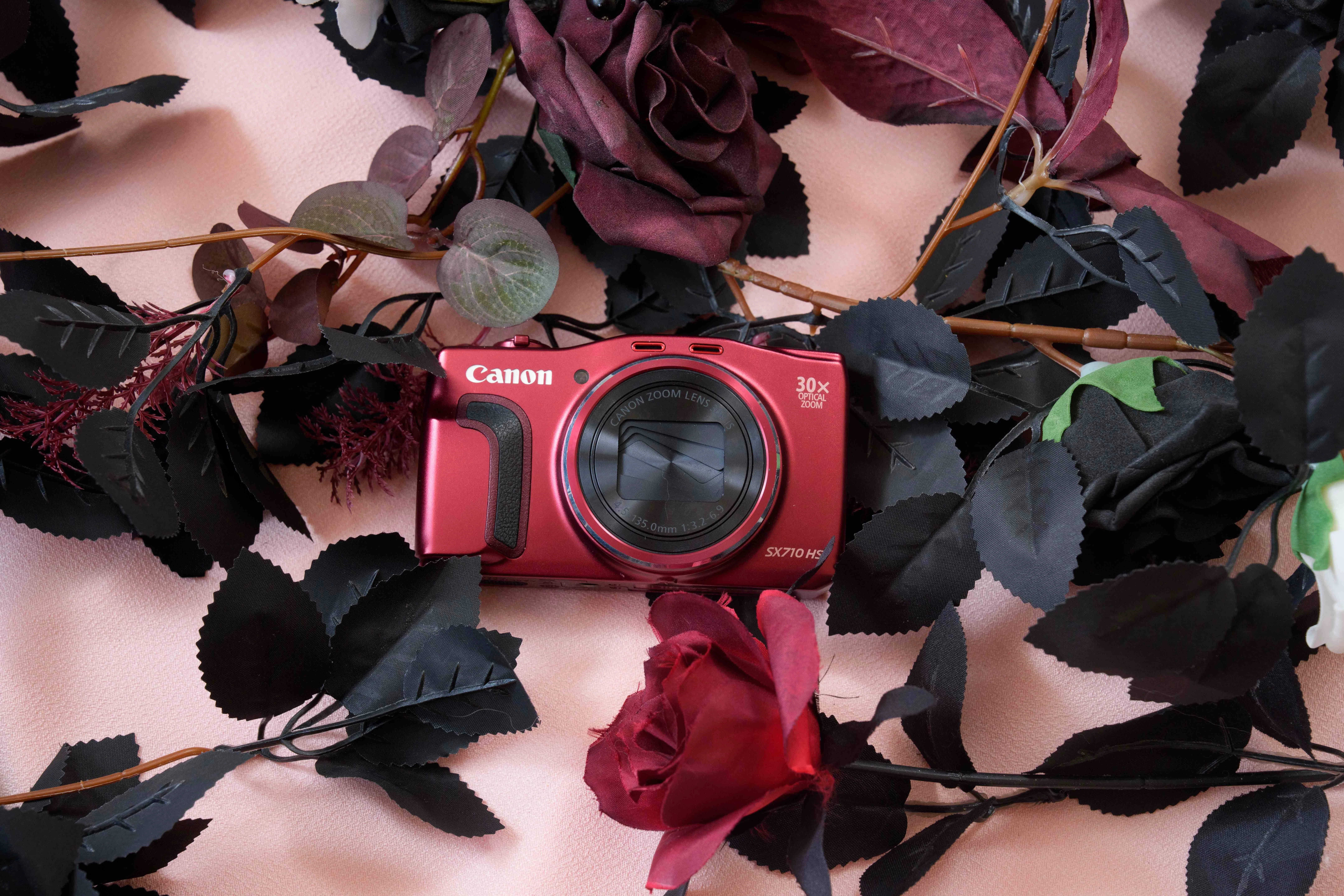 爆速AFに驚く。2015年の名機 Canon PowerShot SX710 HSが今、面白い