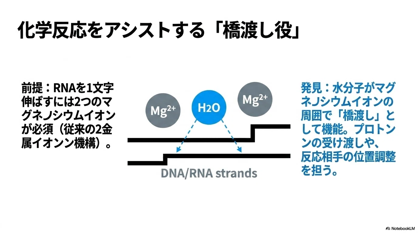 ただの水」が遺伝子を読んでいた──原子より細かい分解能で見えてきた