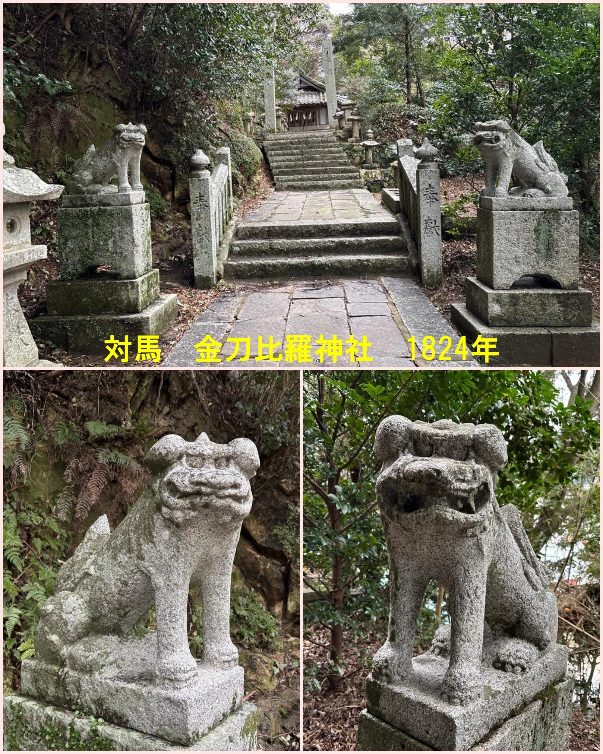 対馬最古の山口狛犬｜藤井克浩