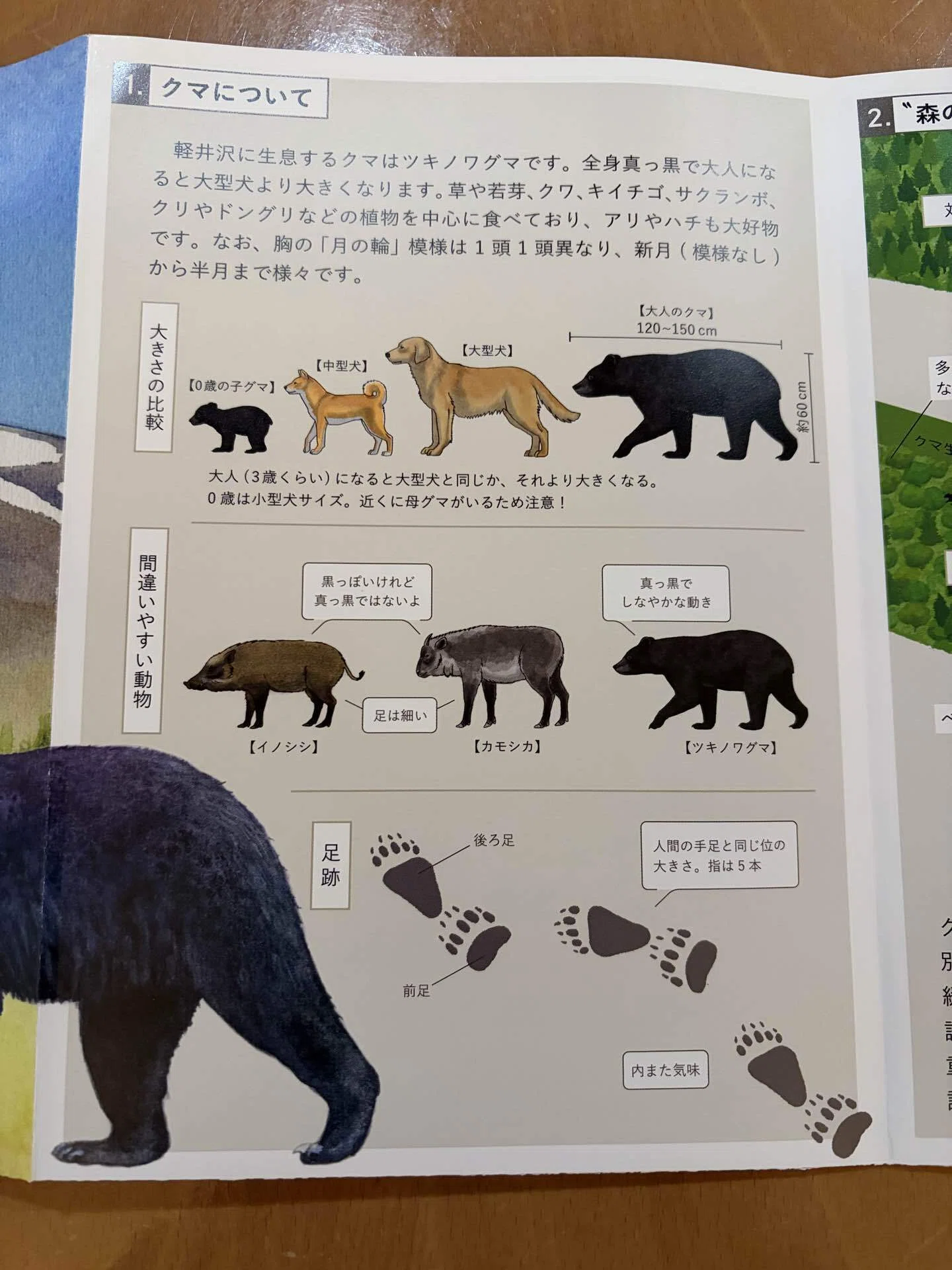 軽井沢のクマさん…｜caracura