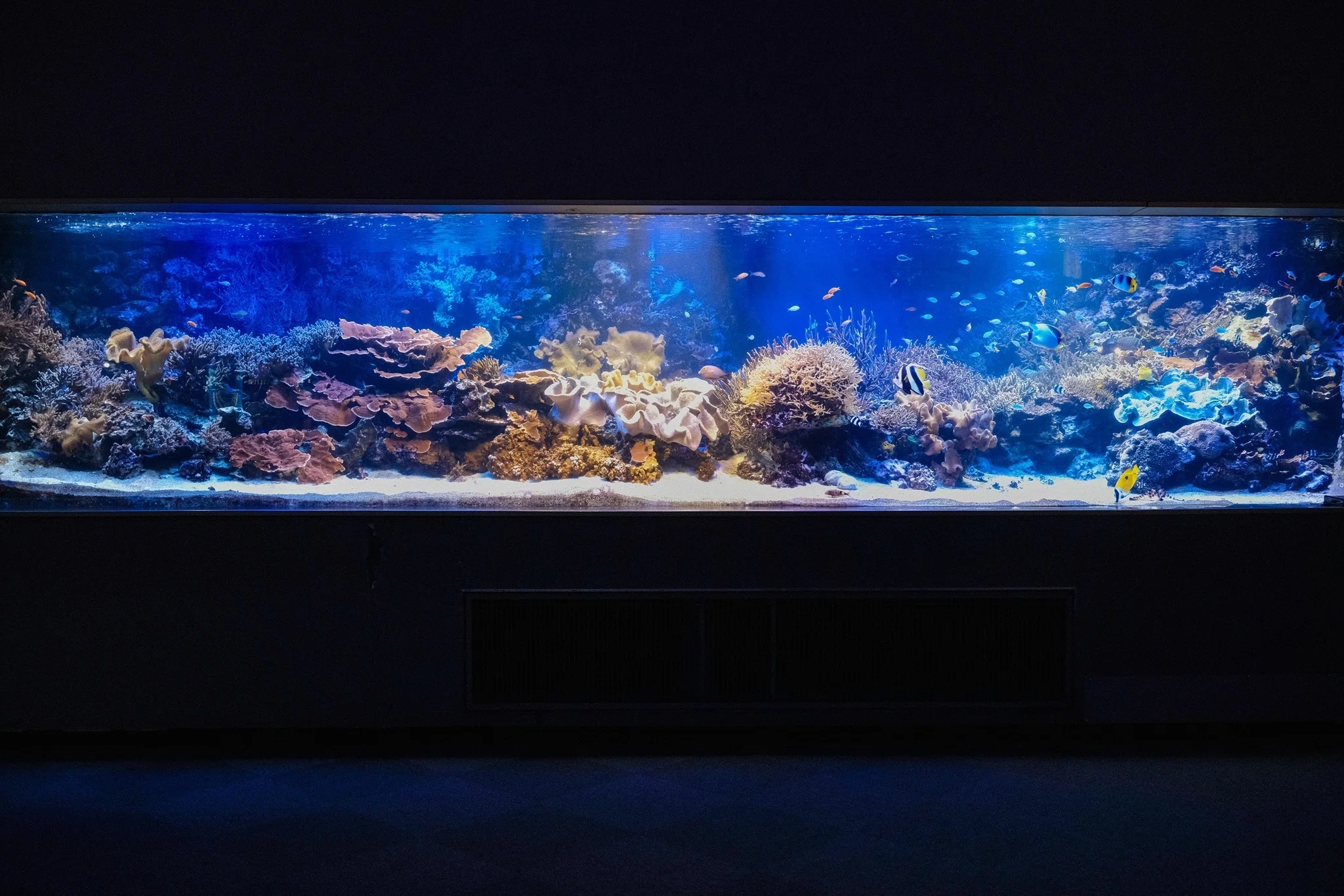 X-T30ⅢとX-E3の2台運用で鳥羽水族館へ｜モルゲン