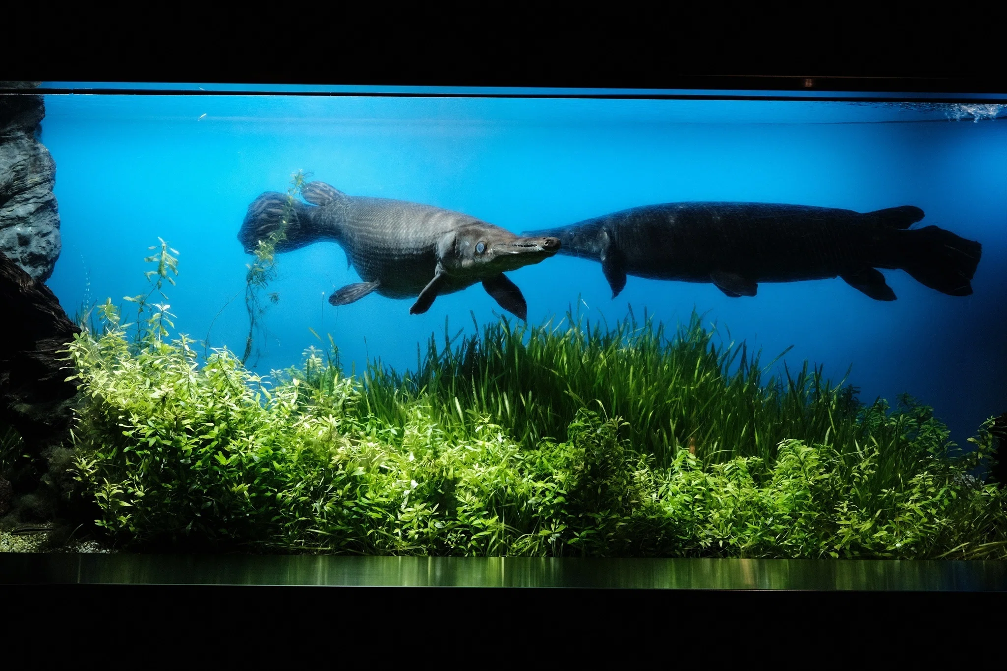 X-T30ⅢとX-E3の2台運用で鳥羽水族館へ｜モルゲン
