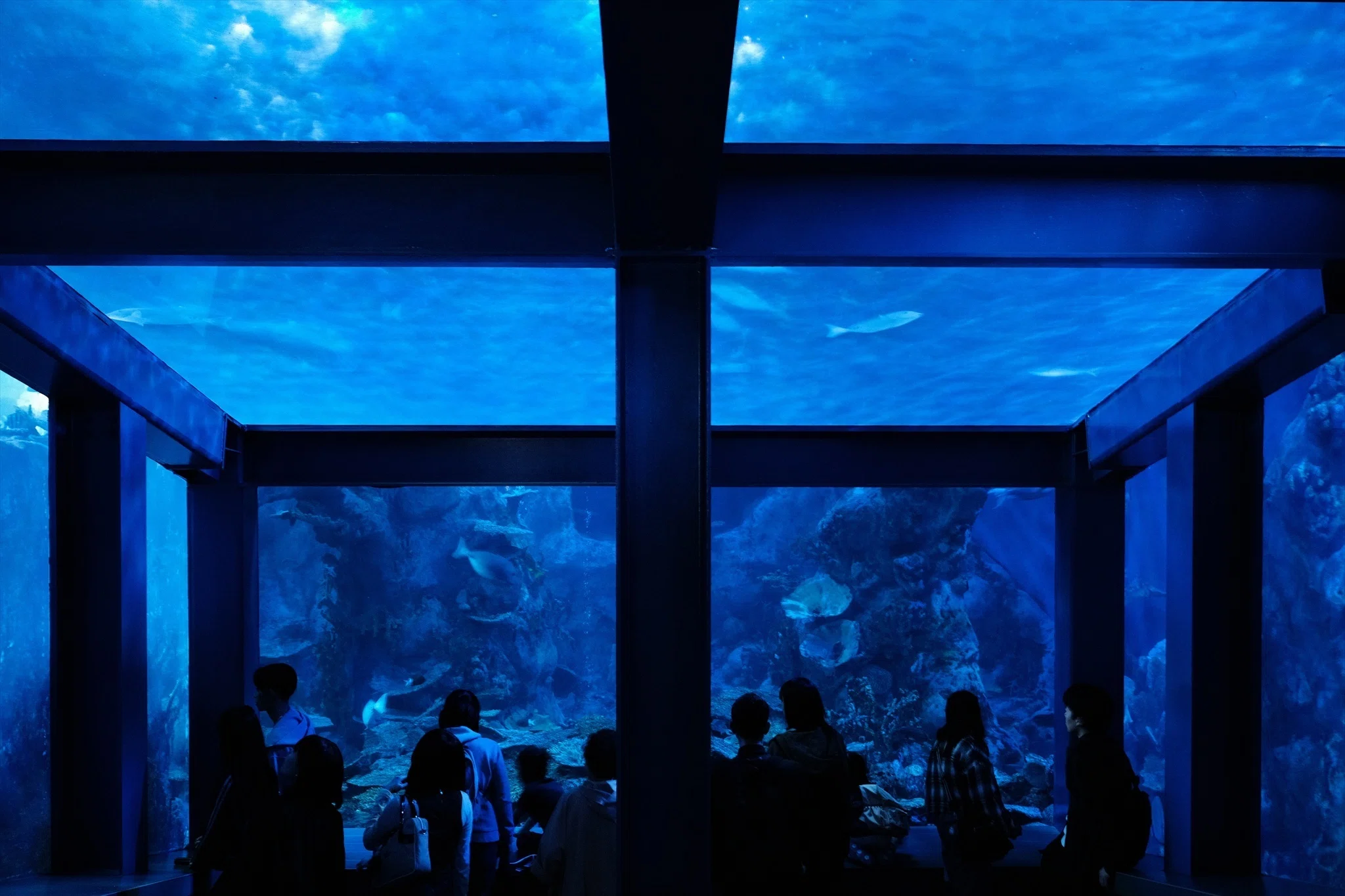 X-T30ⅢとX-E3の2台運用で鳥羽水族館へ｜モルゲン