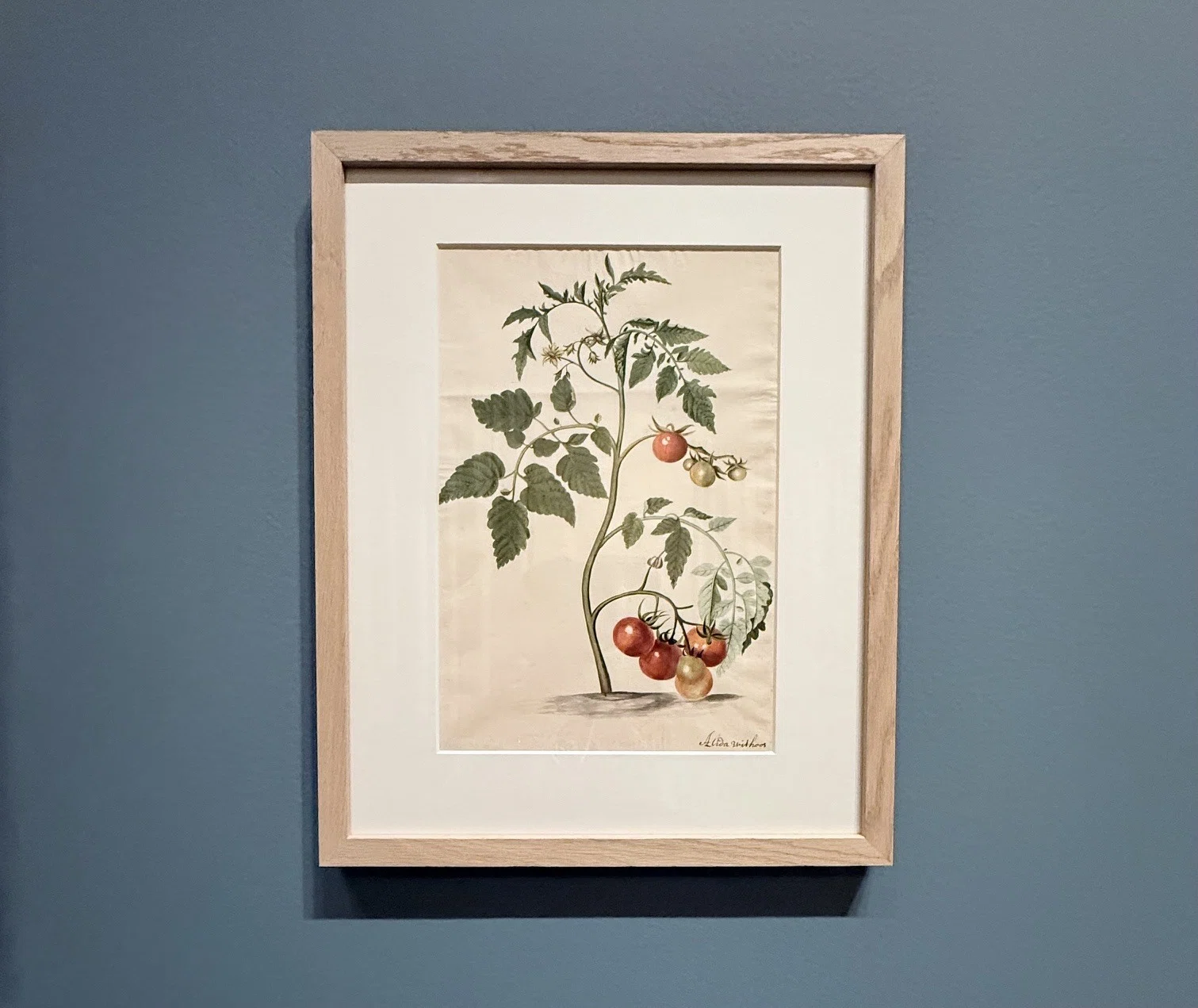 マリア・シビラ・メリアンの花と虫とUnforgettable展｜わこ