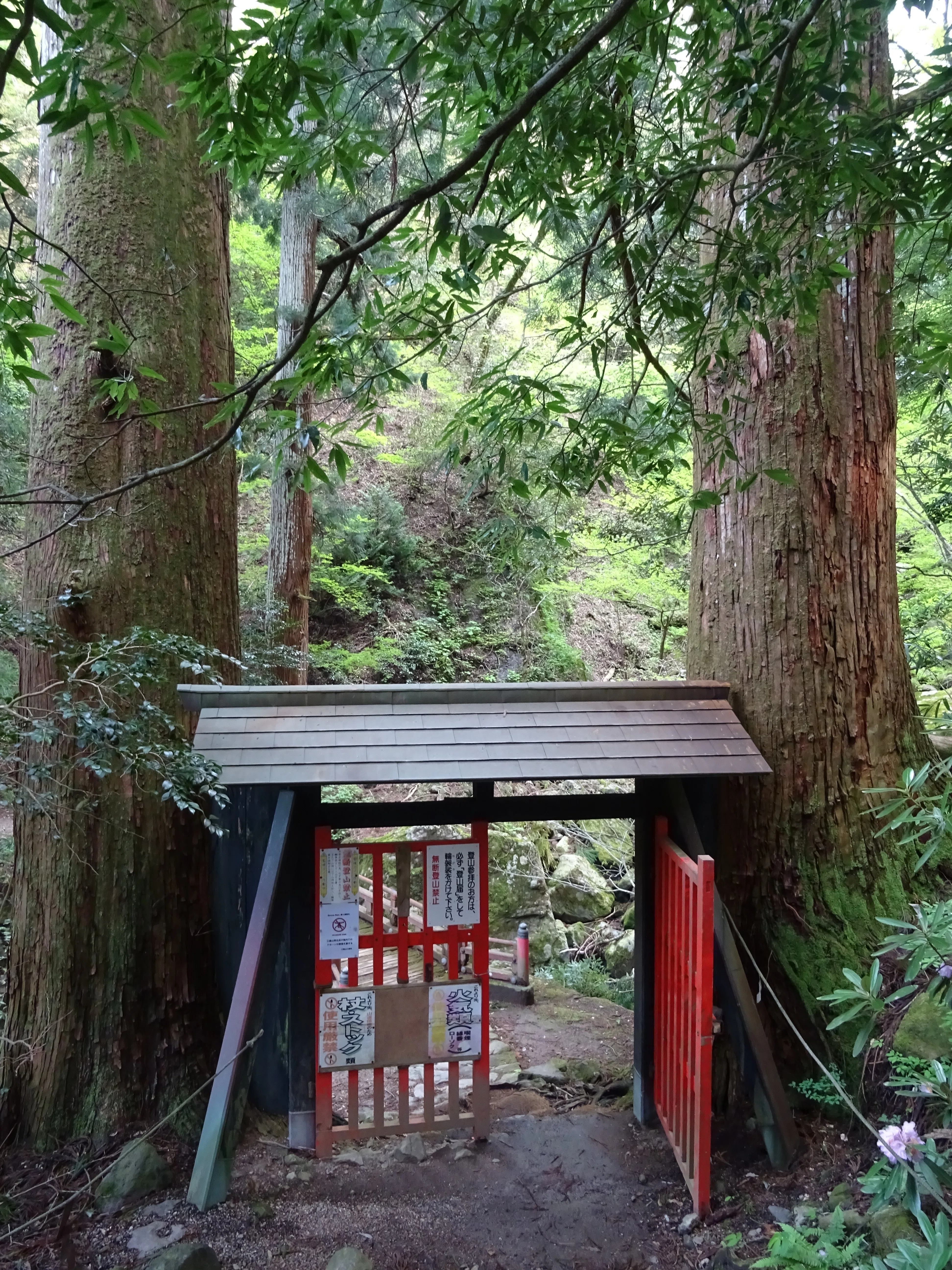 三徳山三佛寺 投入堂への参拝記｜東陽一