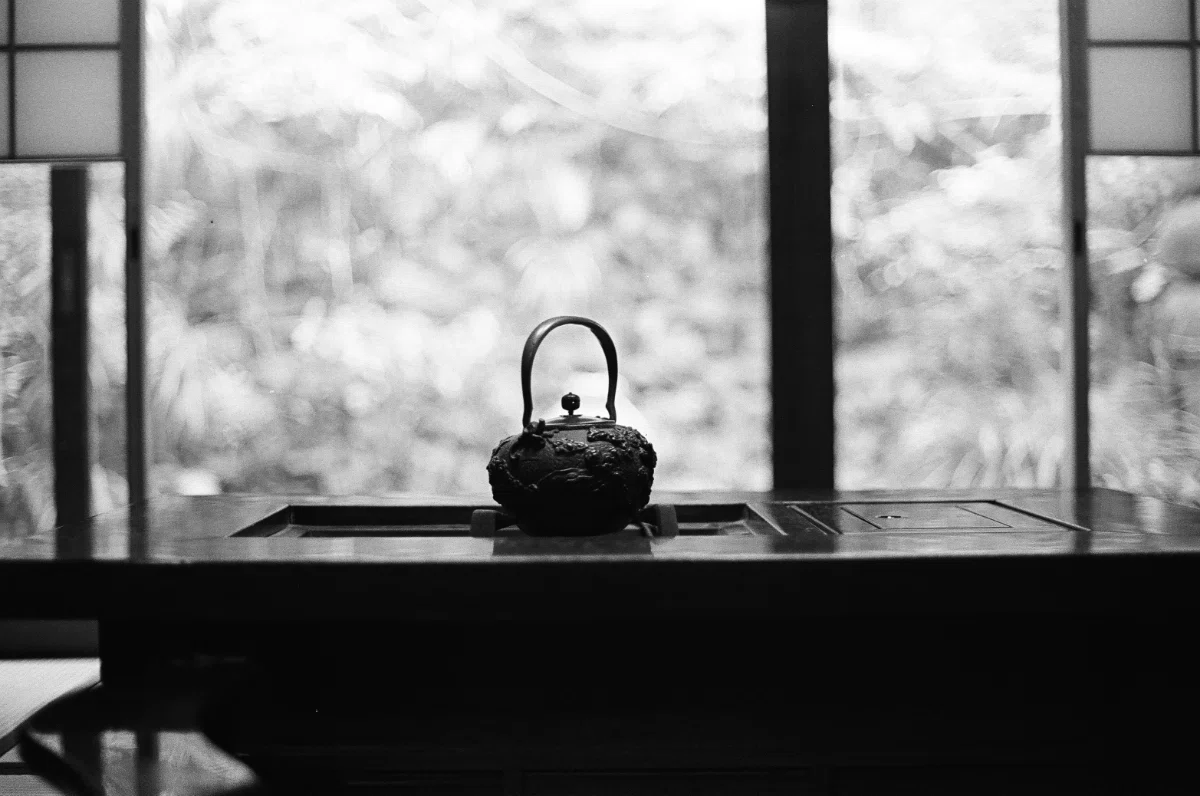 フィルムカメラと桜の和歌山旅-vol.2 ⅼ NikonF2｜あなでじ