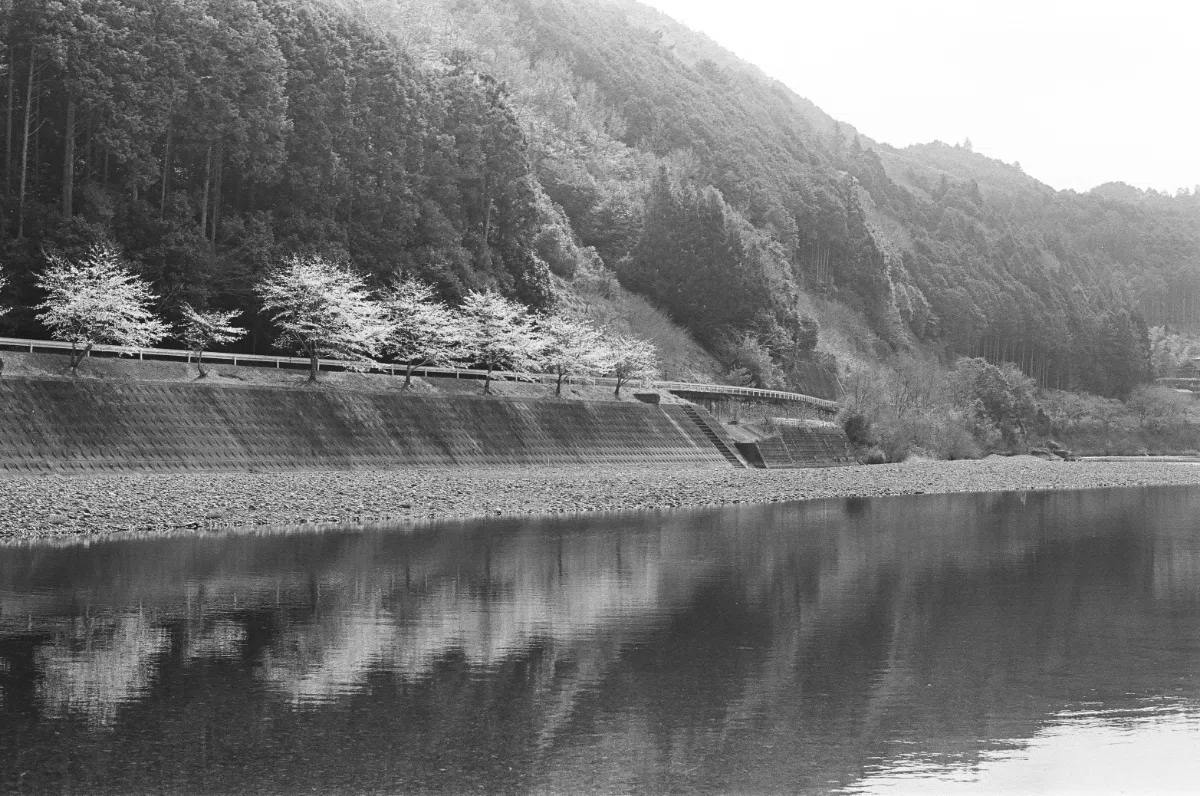 フィルムカメラと桜の和歌山旅-vol.2 ⅼ NikonF2｜あなでじ