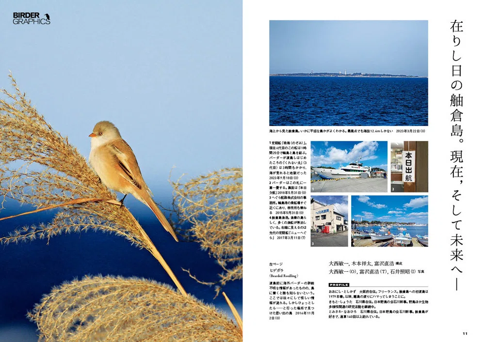 BIRDER6月号の見どころ｜ブンイチ（文一総合出版）