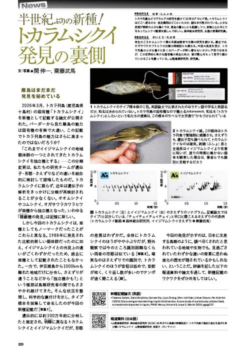 BIRDER6月号の見どころ｜ブンイチ（文一総合出版）