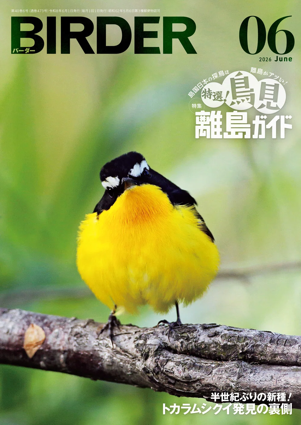 BIRDER6月号の見どころ｜ブンイチ（文一総合出版）