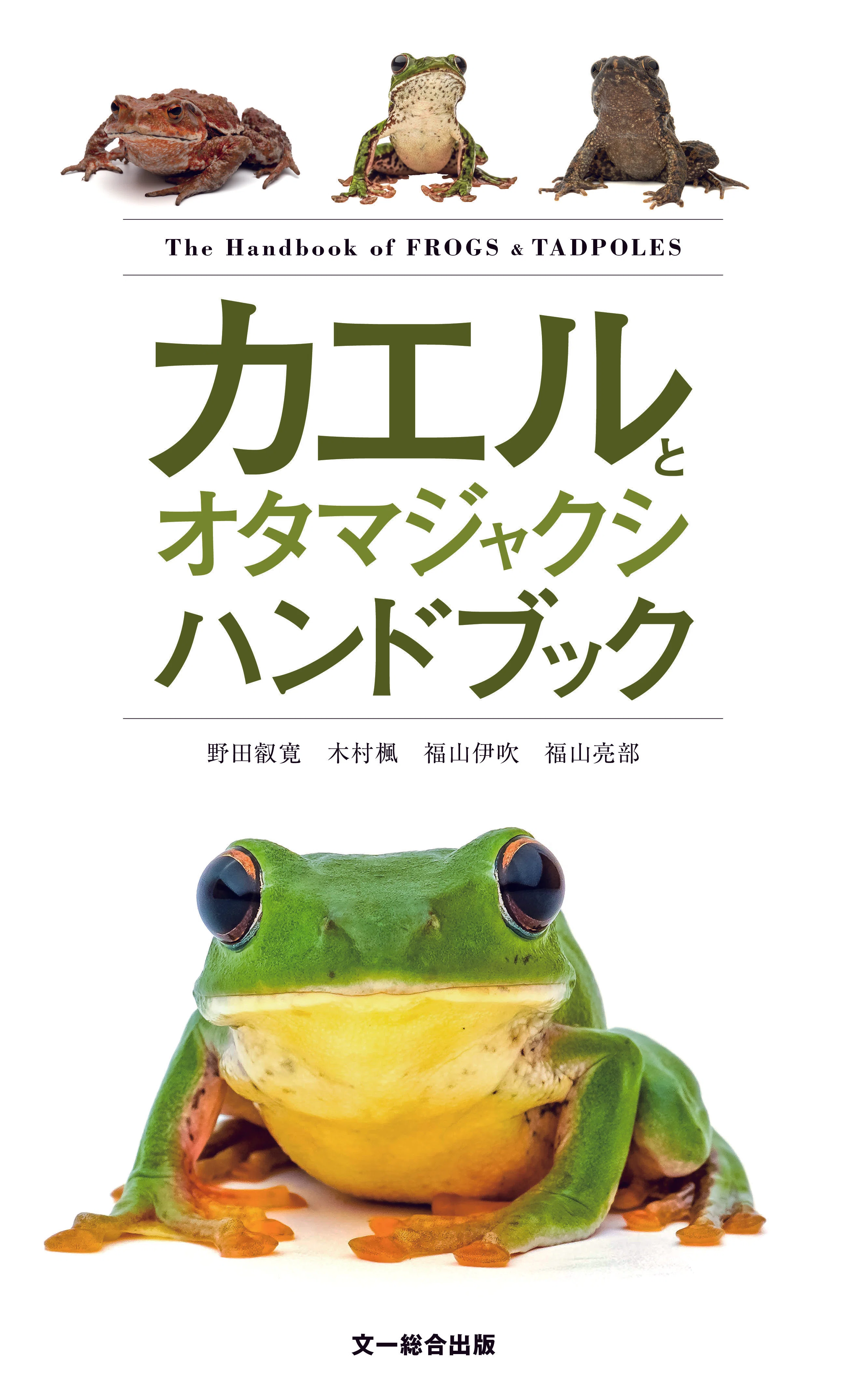 知っているようで意外と知らない？カエルとオタマジャクシのこと
