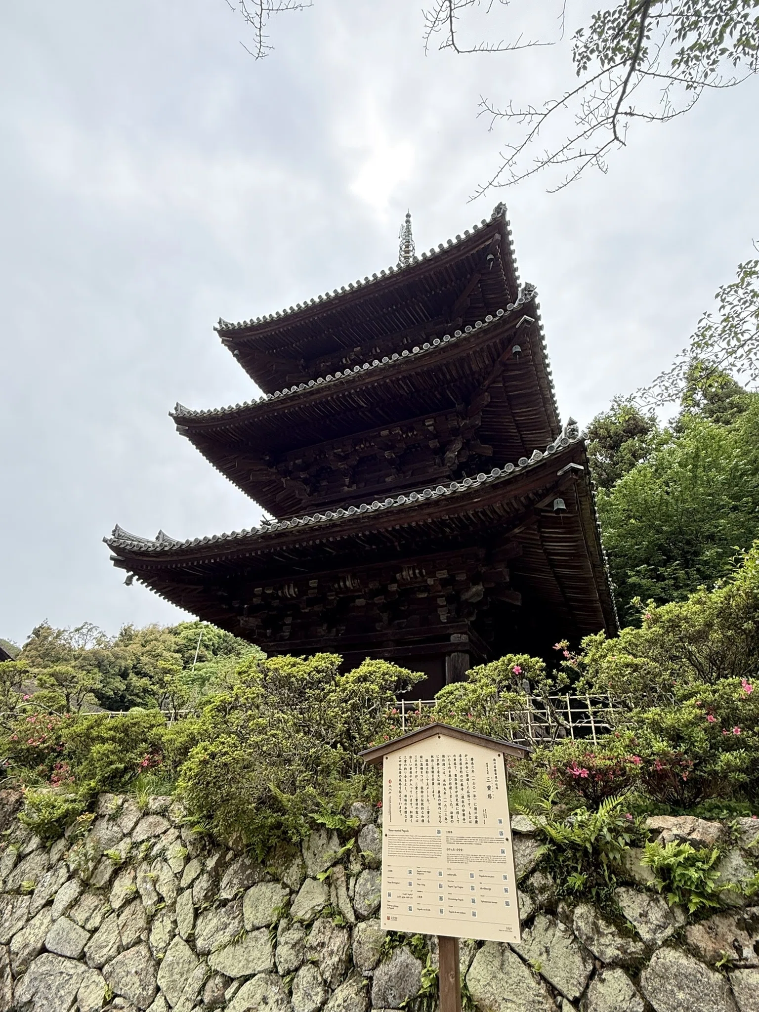三井寺（園城寺）を巡る③｜仁王門から唐院へ──金堂・閼伽井屋・弁慶