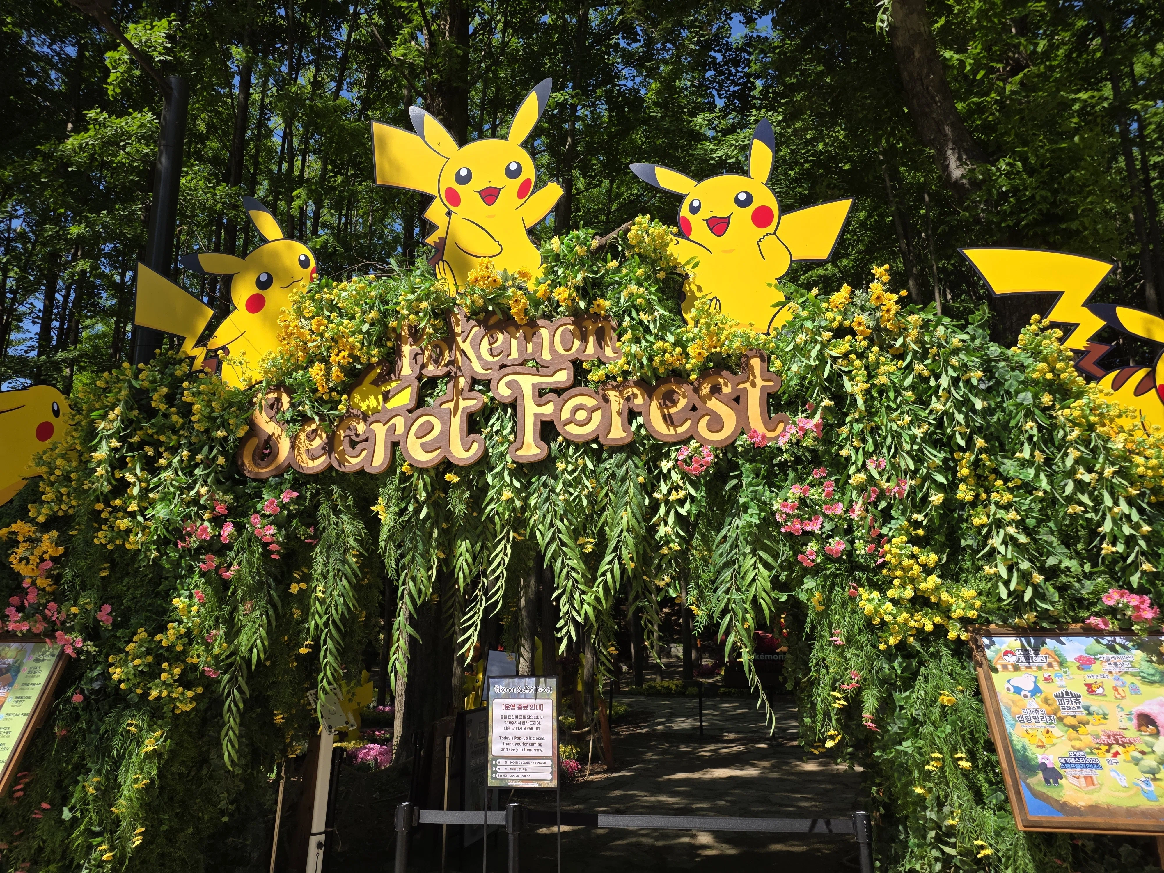 平日なのに大人気。ポケモンシークレットフォレストに行ってきた｜machi