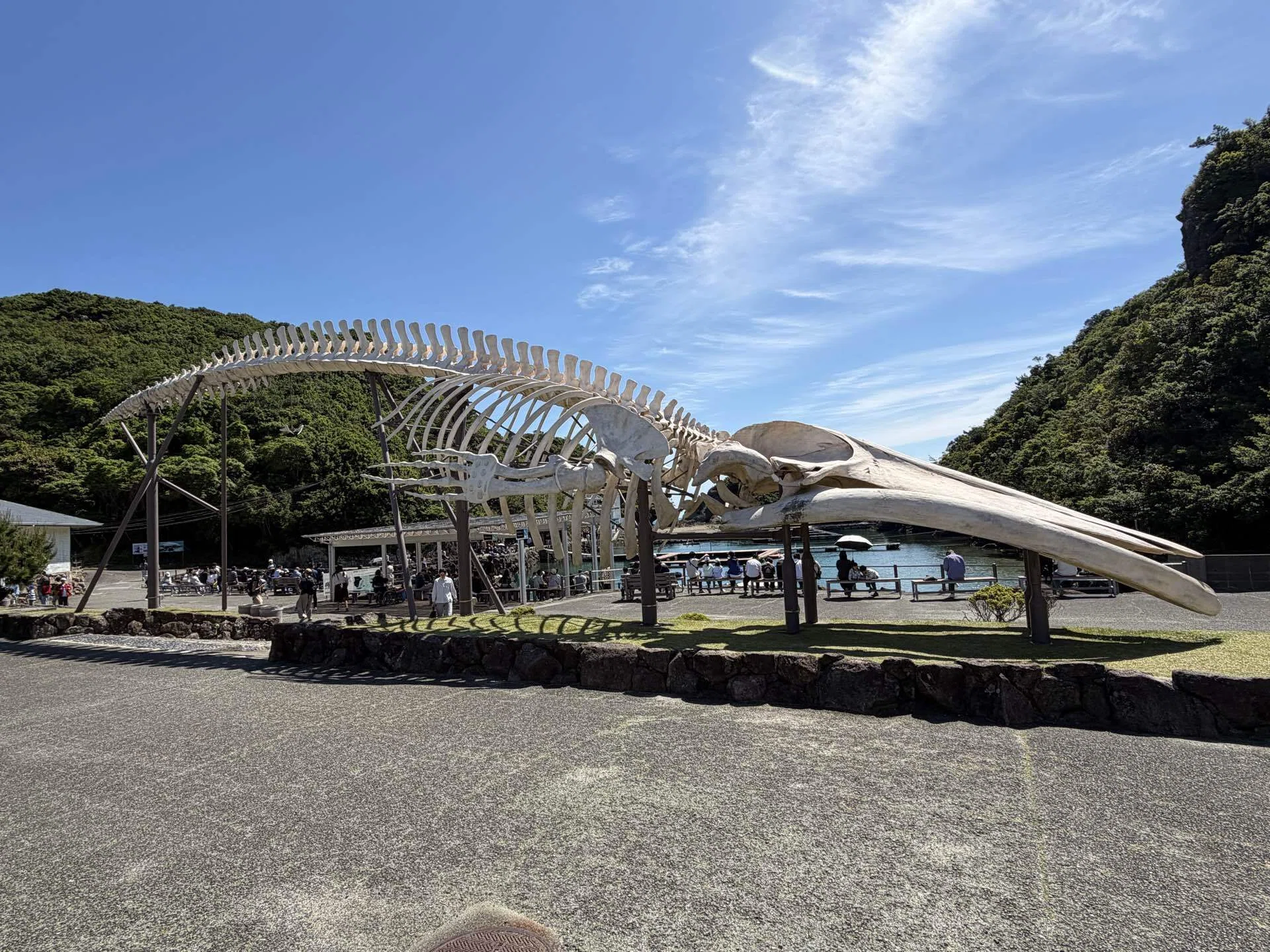 和歌山県太地町くじら公園｜ササミフライ