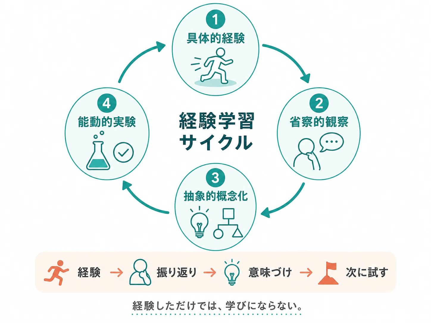 経験しただけでは人は育たない ― Kolbの経験学習モデルから考える学び
