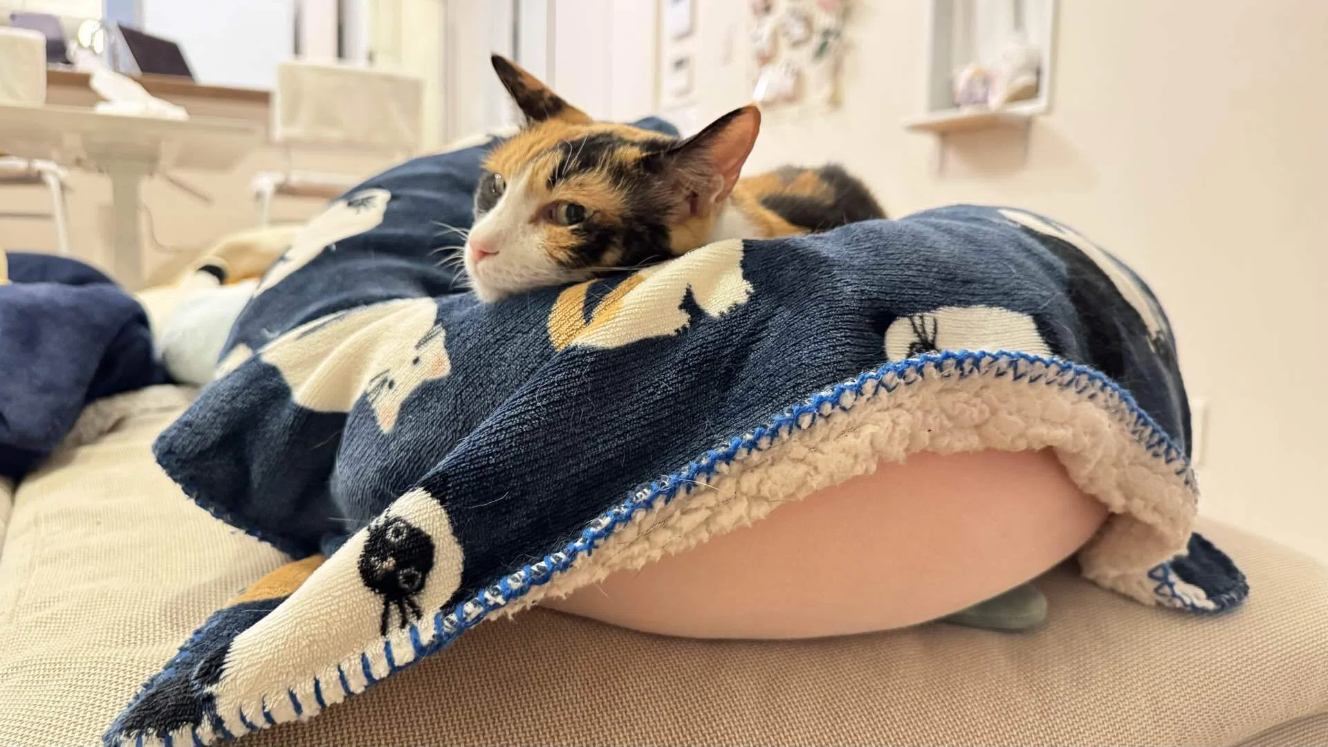 ride on 🍑🐈」2026/05/08（金）｜ぼんちゃん