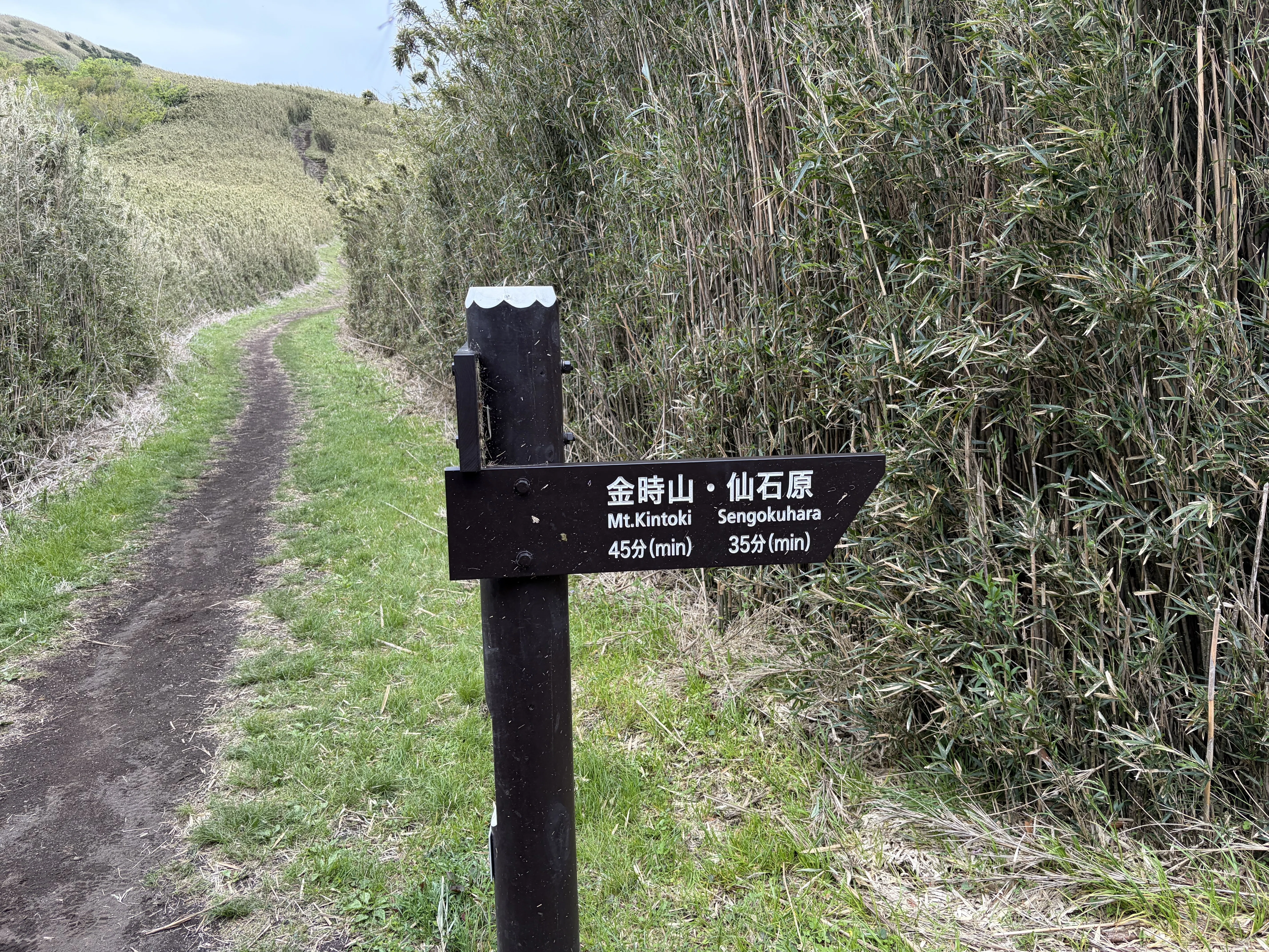 Mt. Kintoki】 Reflecting on life while enjoying a mini-hike and a