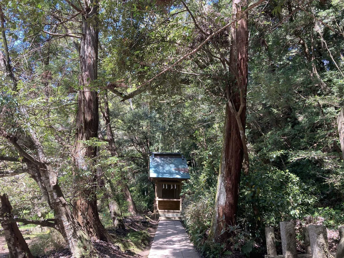 画像