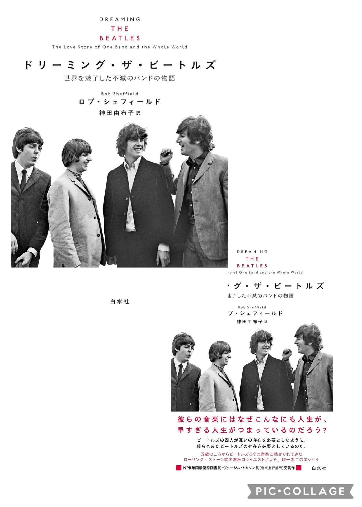 ドリーミング・ザ・ビートルズ」（その2）〜世界は彼らを夢みつづけて