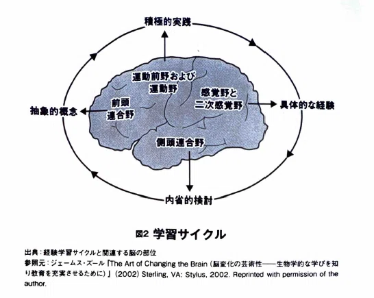 今週の一冊『最強の経験学習』｜紀藤 康行 | 強み先生
