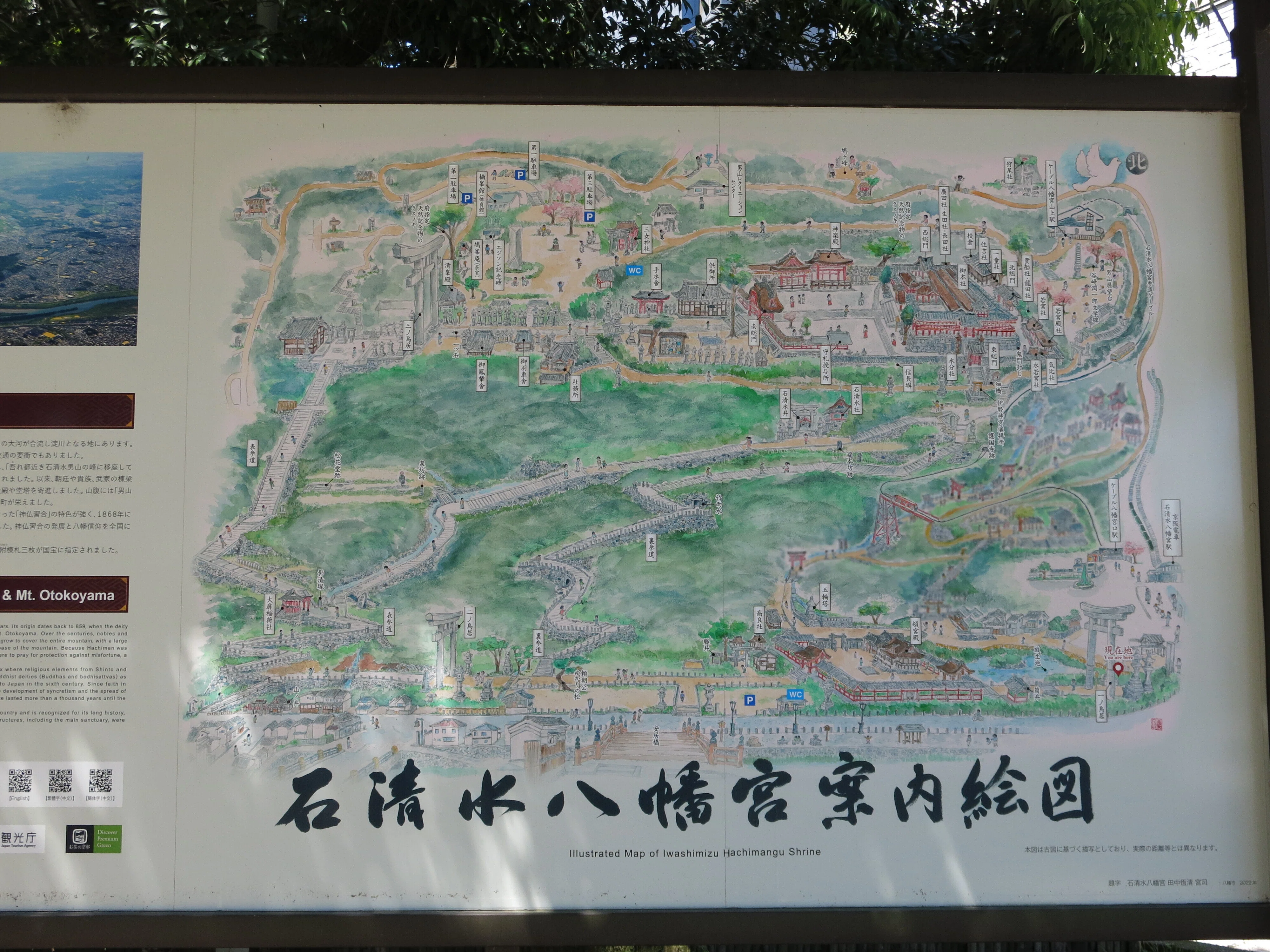 石清水八幡宮を参拝｜みかん
