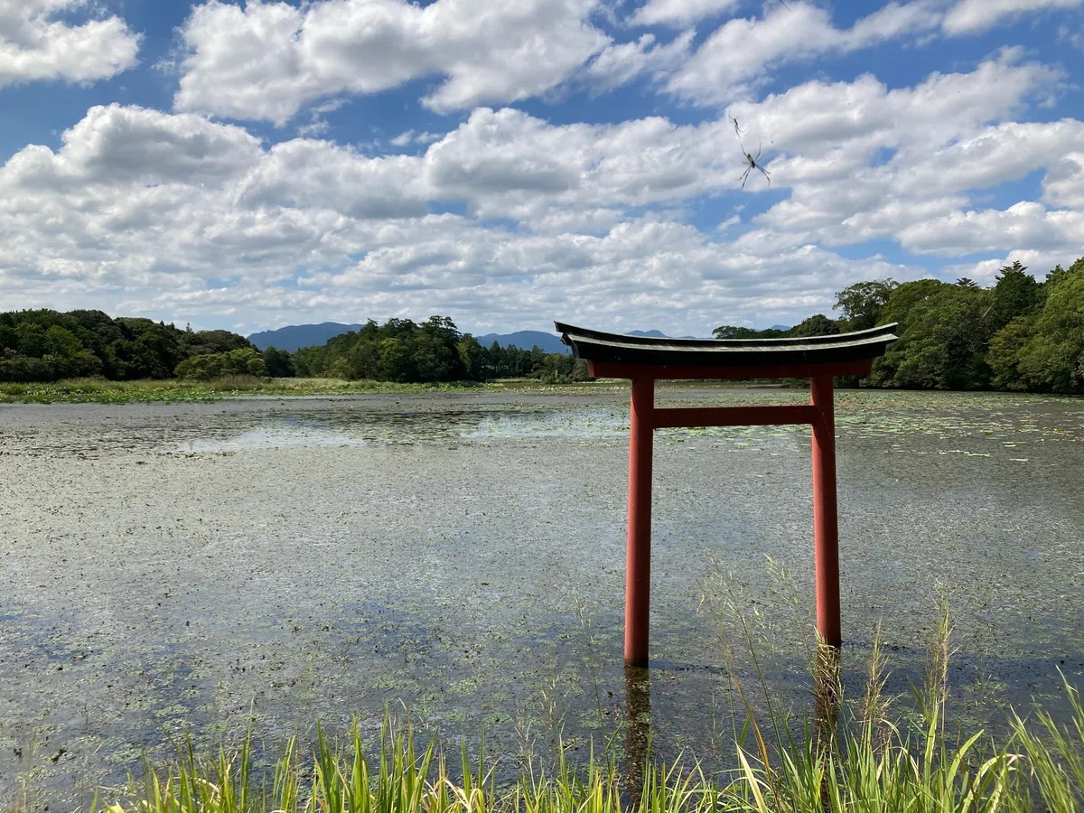 画像