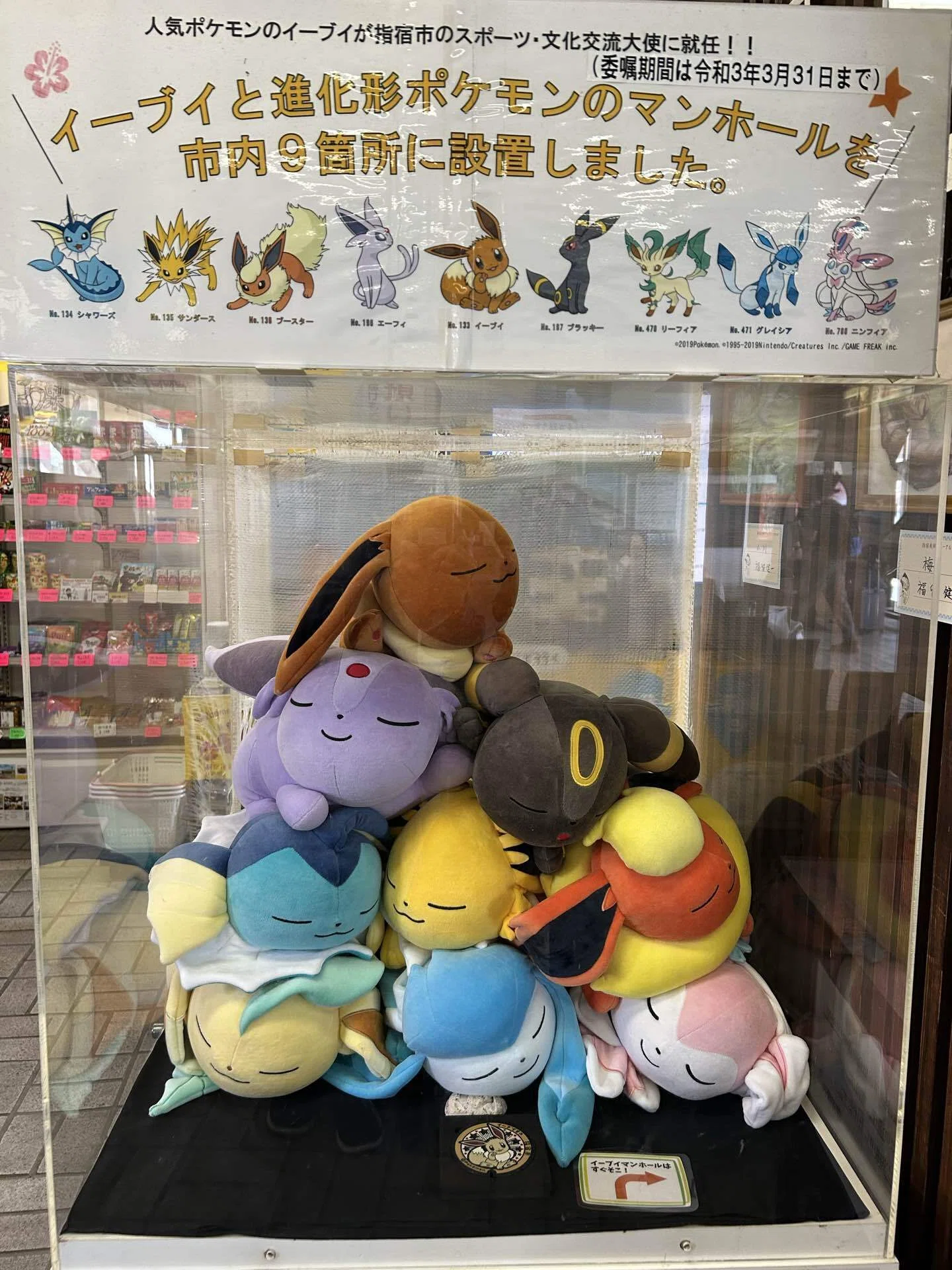 ポケふたゲットの旅 in 鹿児島｜riders