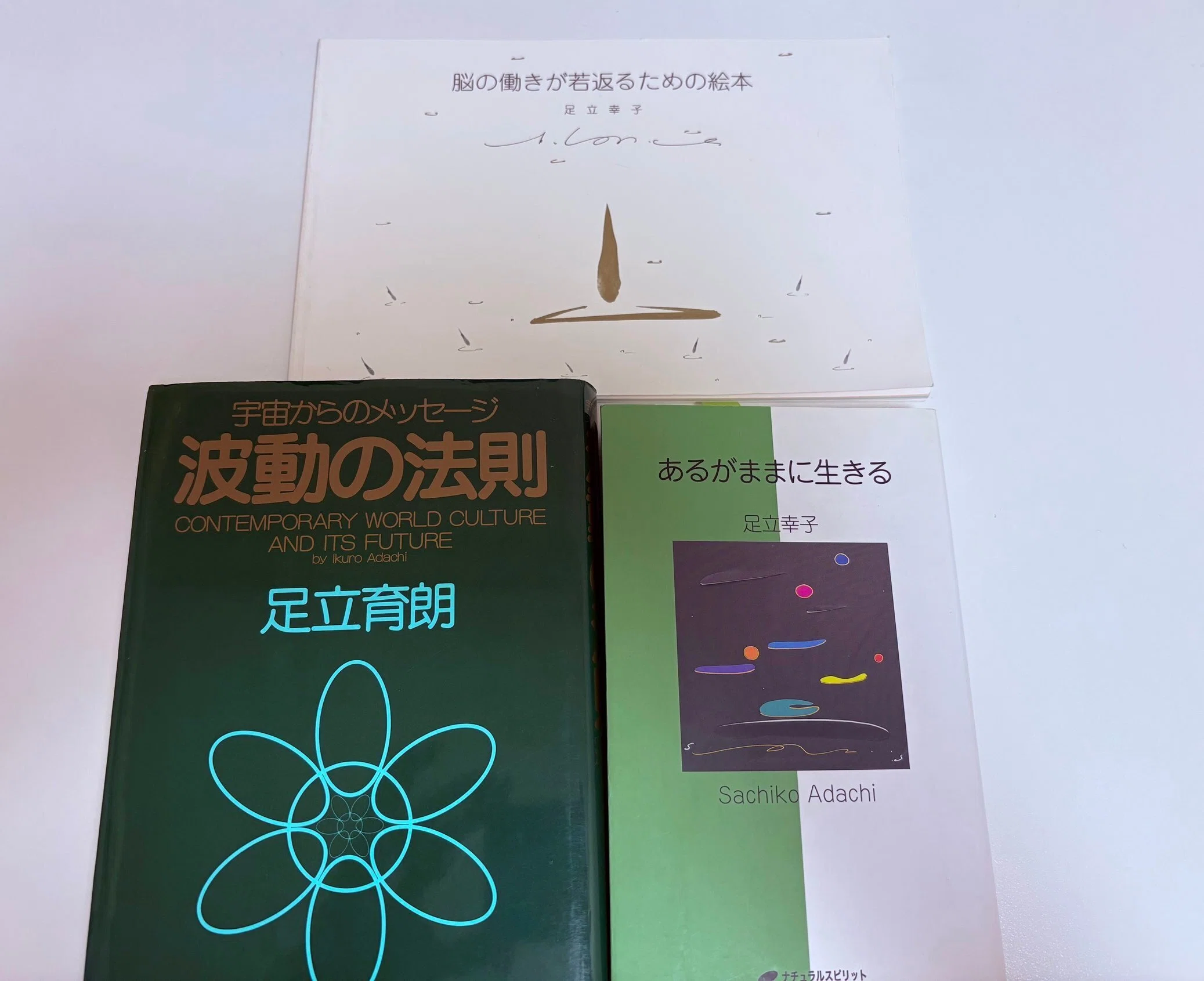 足立幸子作品集・一期一会／足立育朗 波動の法則 Amazon.co.jp: 足立幸子作品集一期一会／足立育朗 波動の法則 : ホーム