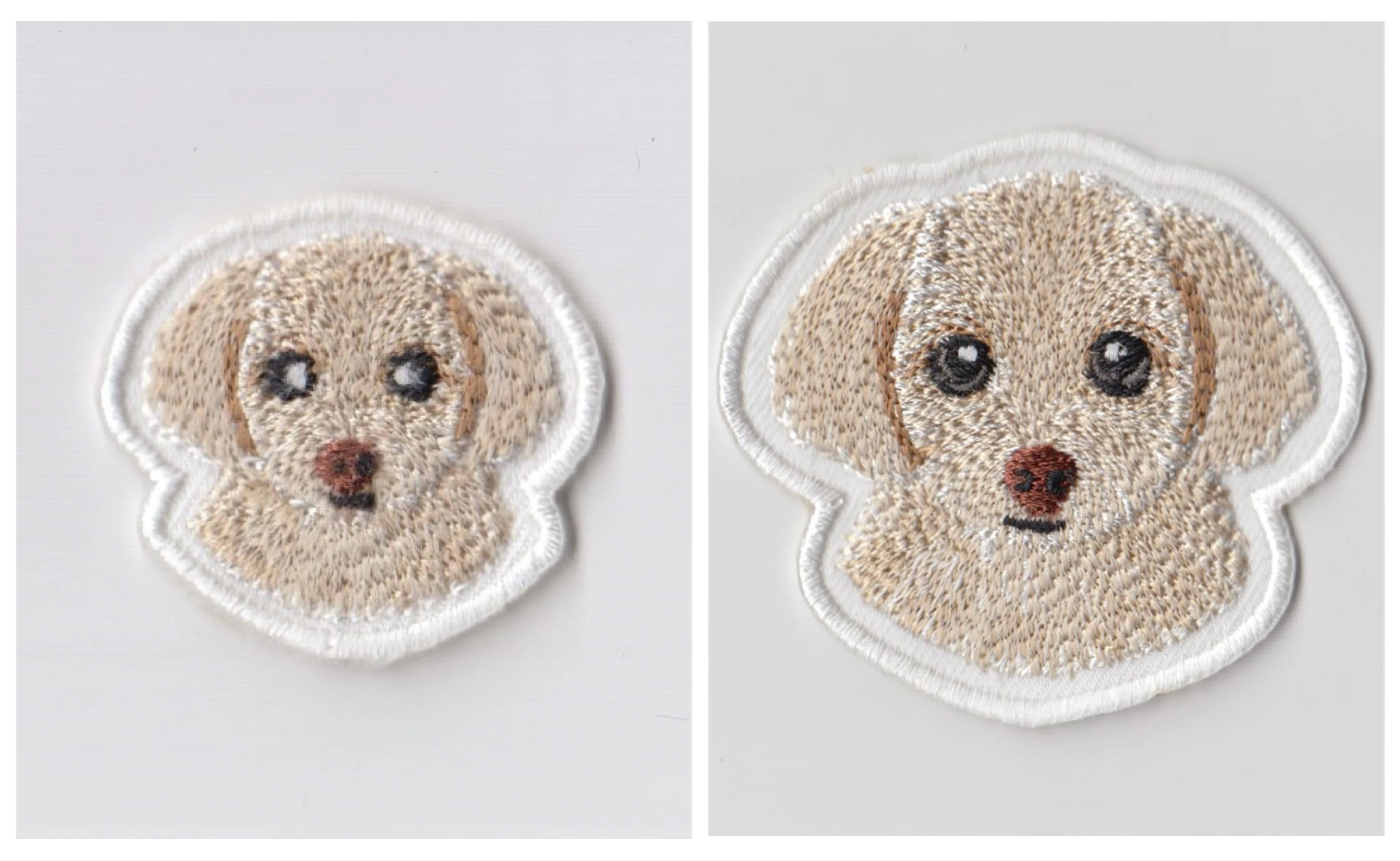 My Pet Goods | I Tried Making an Original Dog T-Shirt｜こいぬまめぐみ