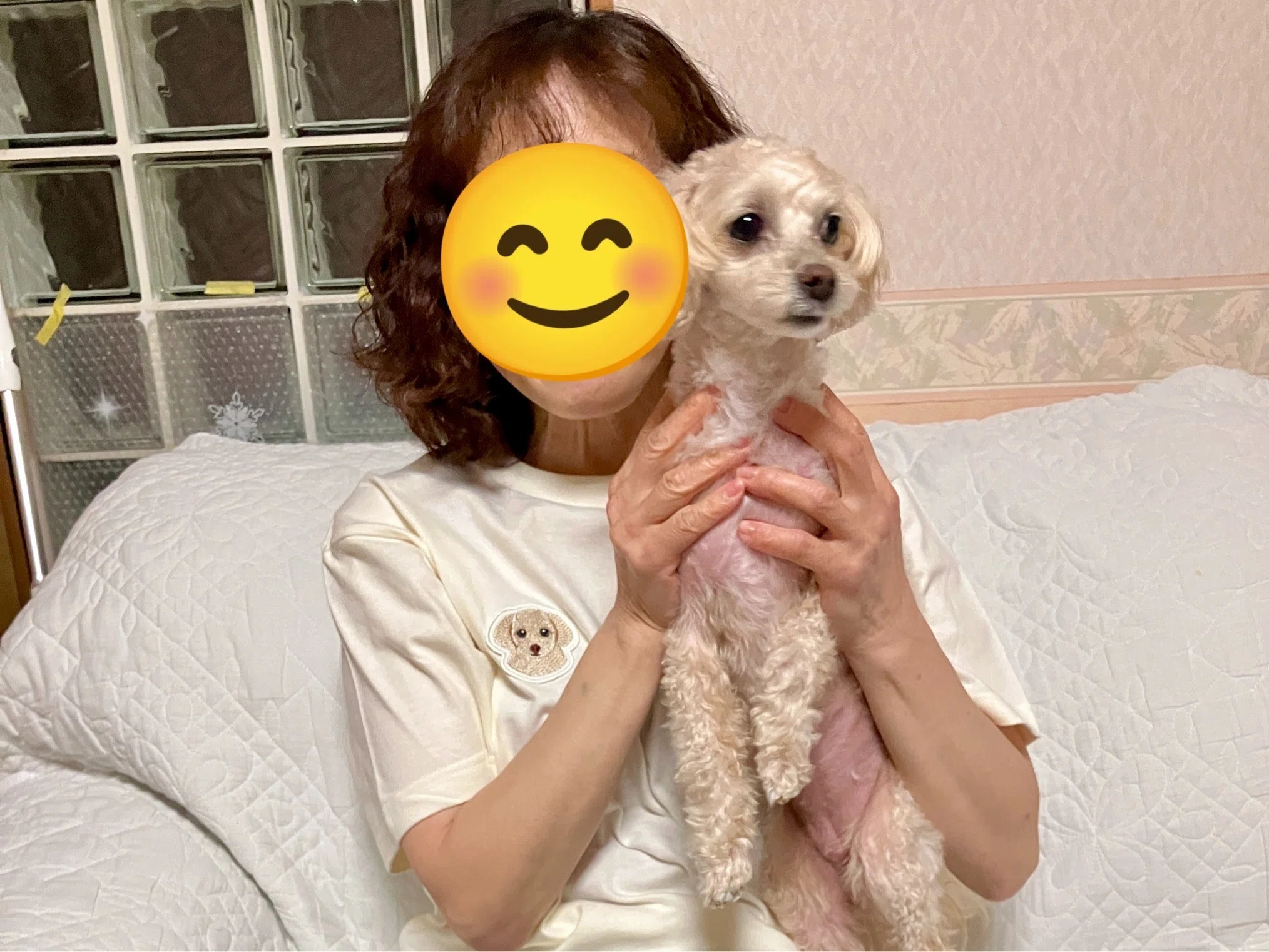 My Pet Goods | I Tried Making an Original Dog T-Shirt｜こいぬまめぐみ