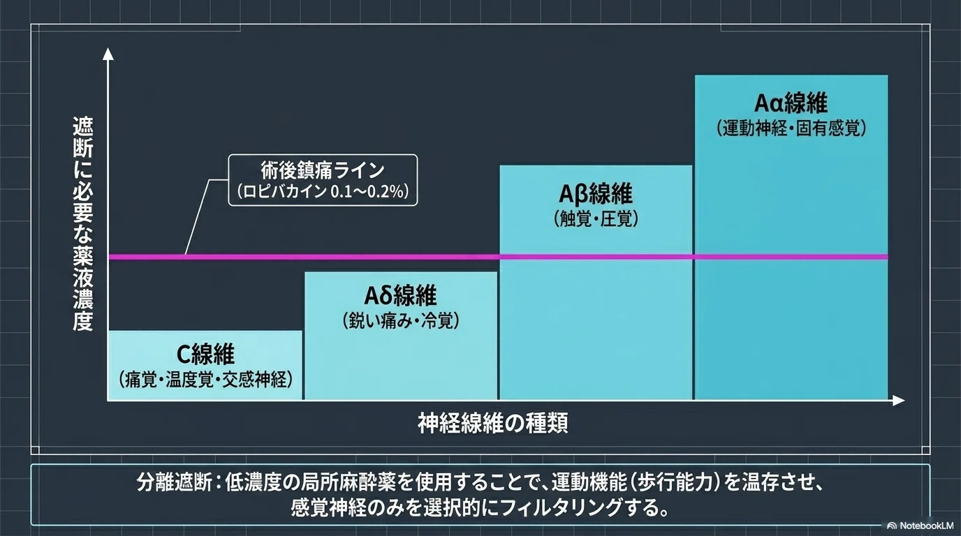 硬膜外麻酔とは何か：仕組み・手順・薬剤・トラブル対応まで｜麻酔科M