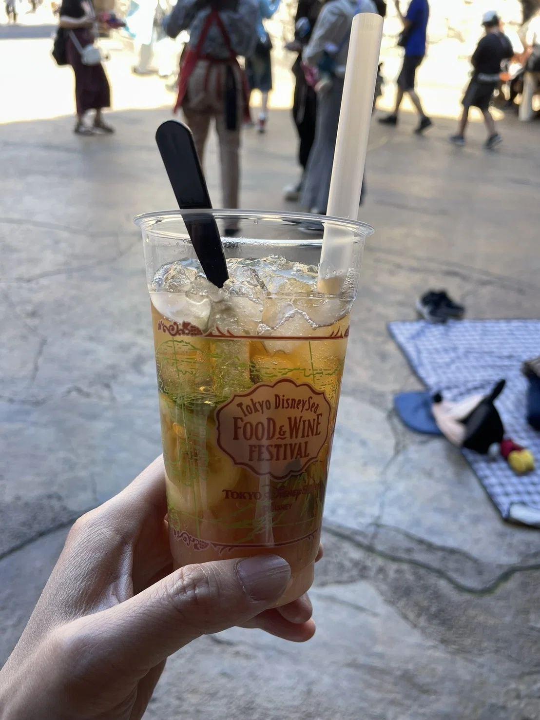 GWのディズニーシー25周年行ってきました！｜なーちゃん