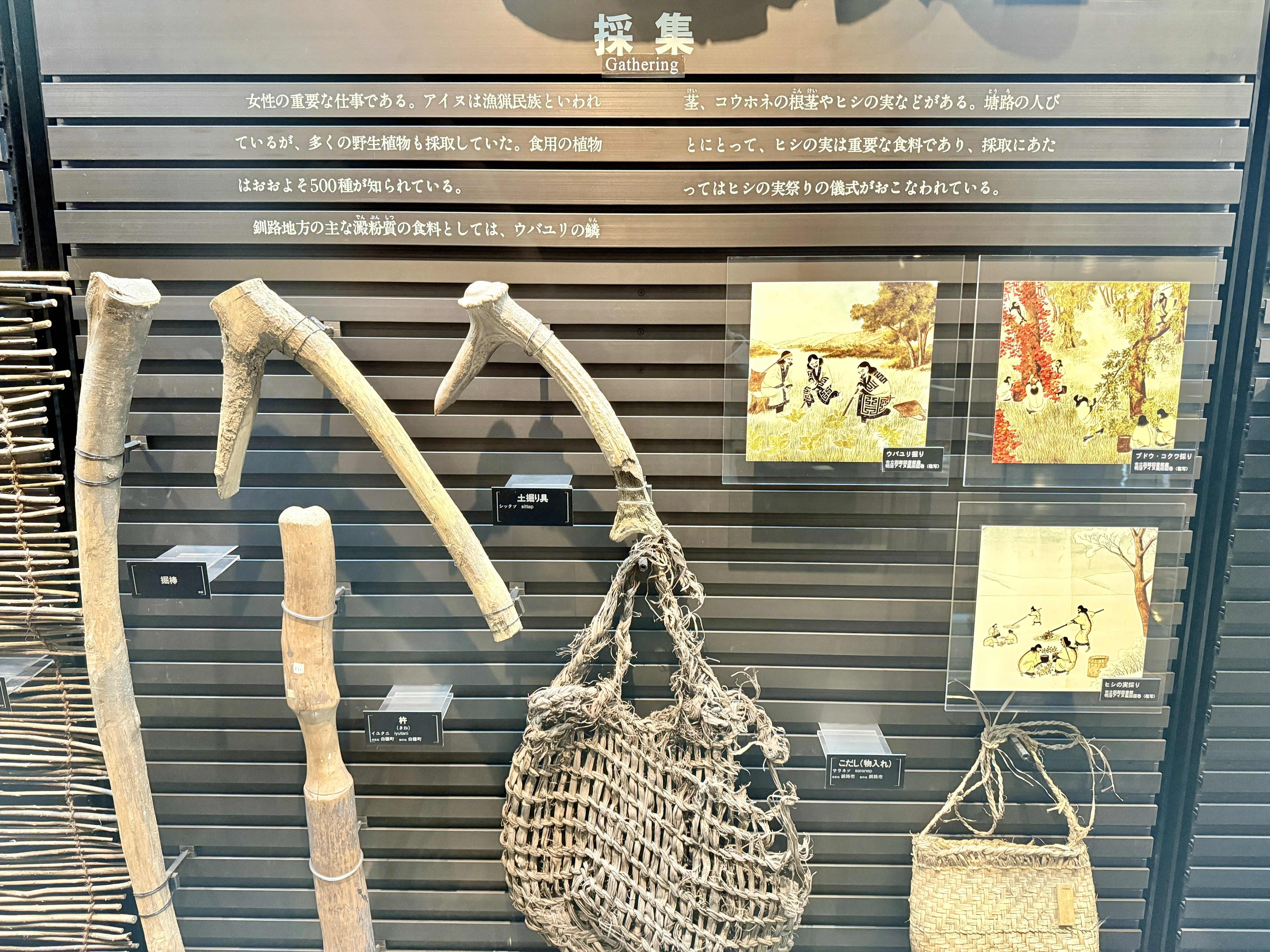北海道】釧路市立博物館4階展示案内｜サコㇿべの人々と木彫作品