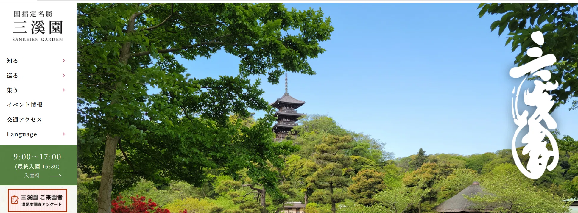 横浜 三渓園 早朝観蓮会 2026/7/25-26, 8/1-2, 8-9 いずれも土日のみ