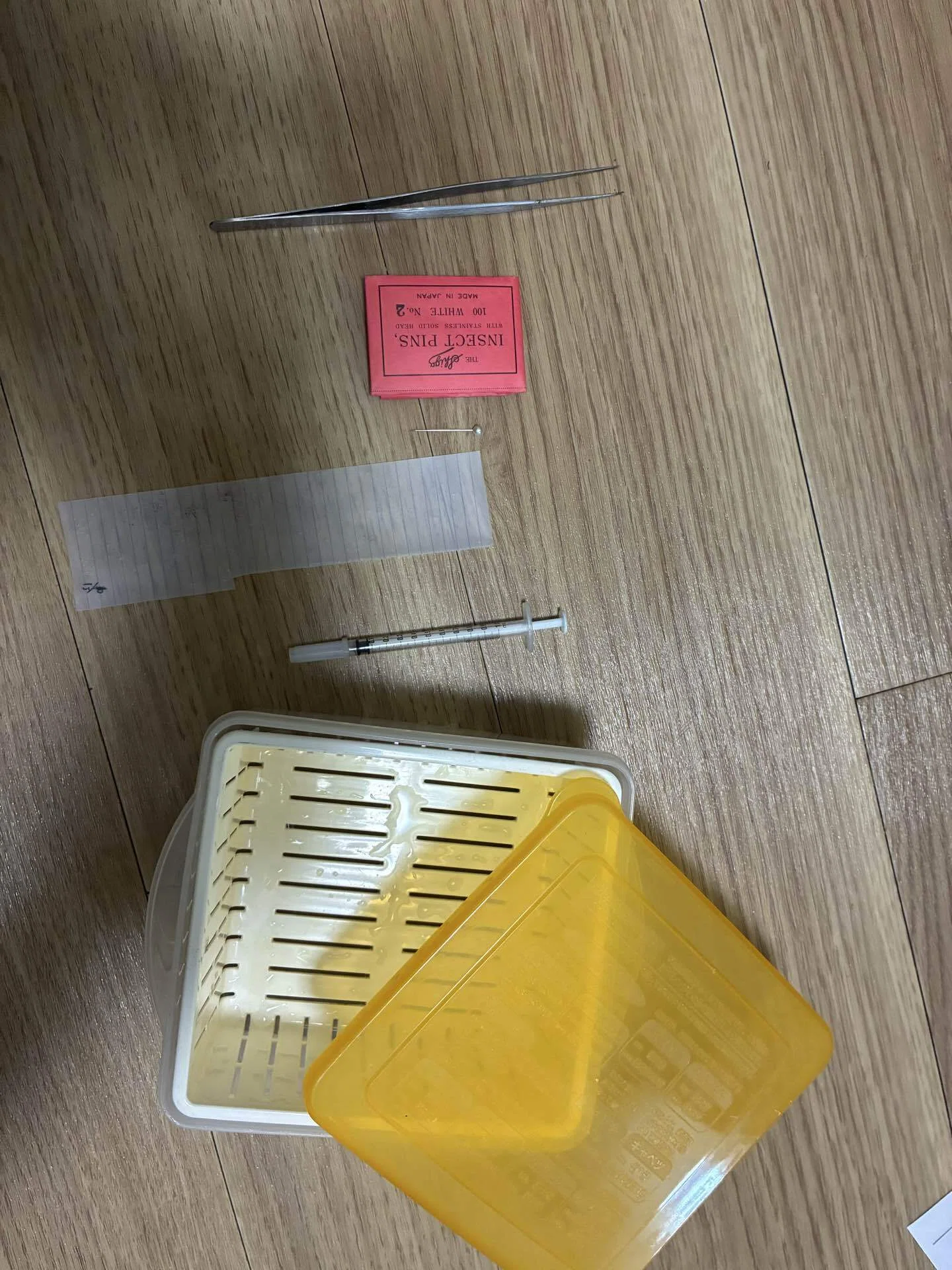 蝶の軟化展翅｜蝶屋＆クワガタ屋