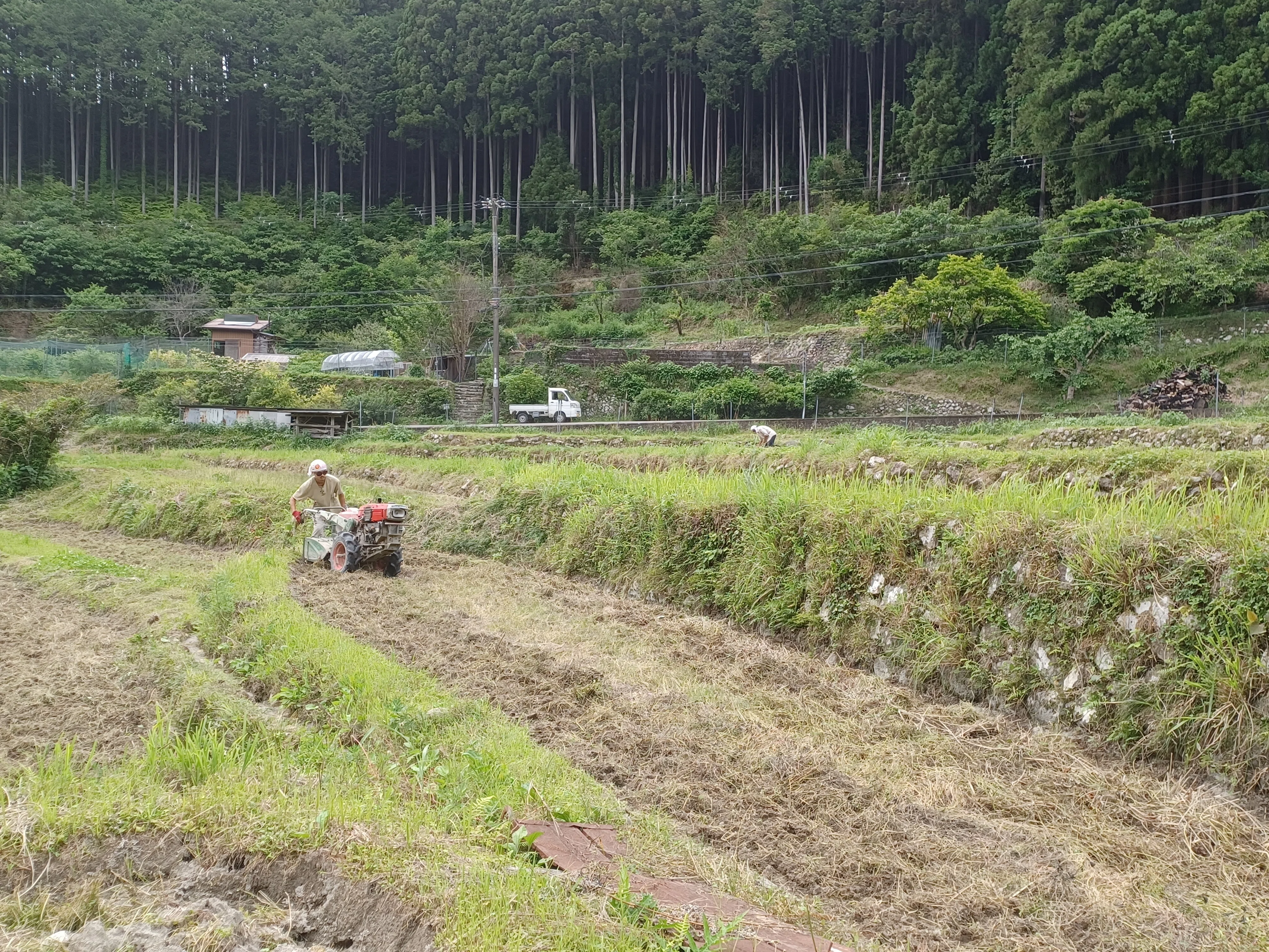 田んぼについて｜そこそこ農園