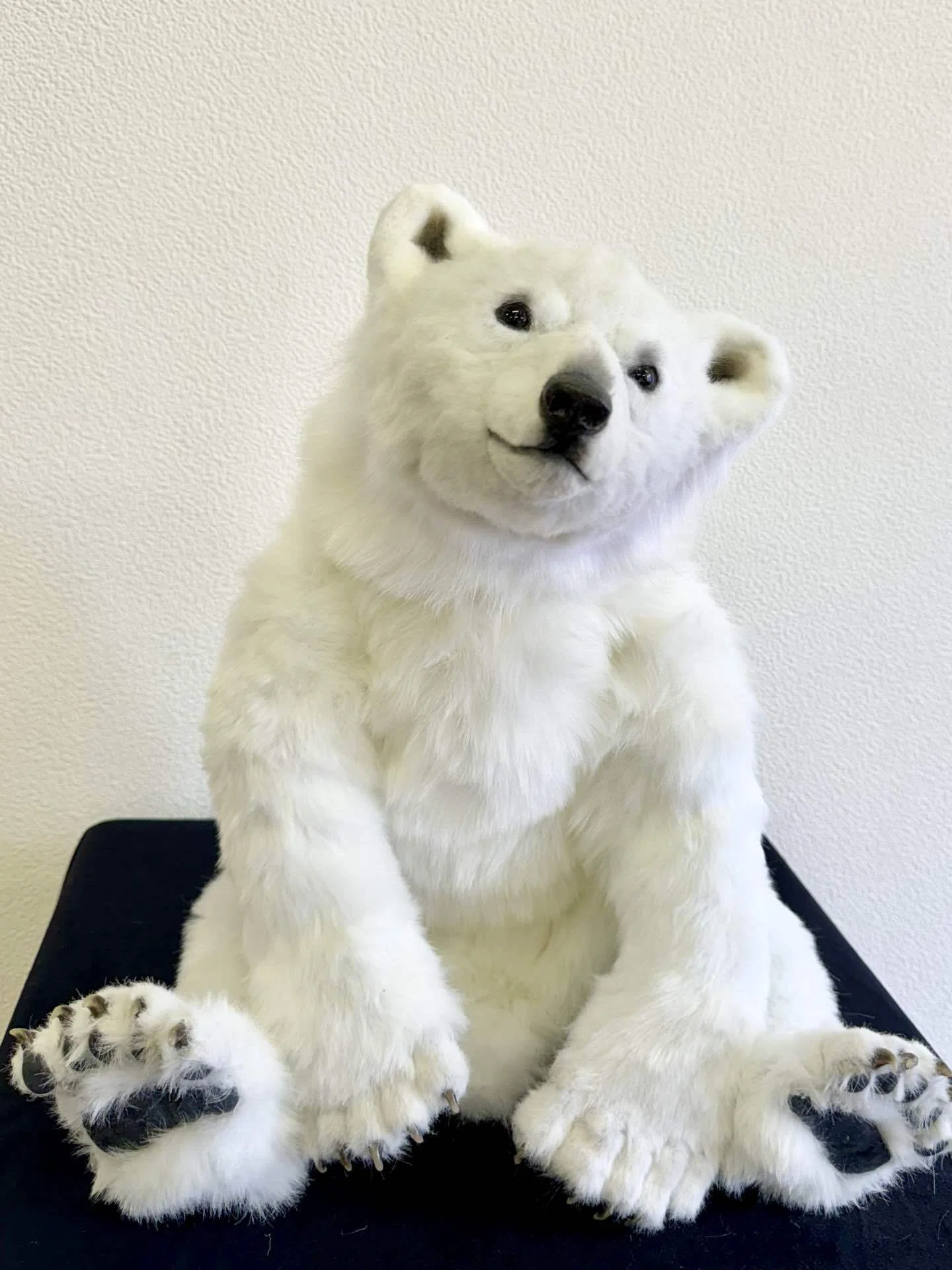 【最終値下げ】海外作家様作　アートドール　シロクマ 5月は狂っていこうと思う。｜Naco* なこ
