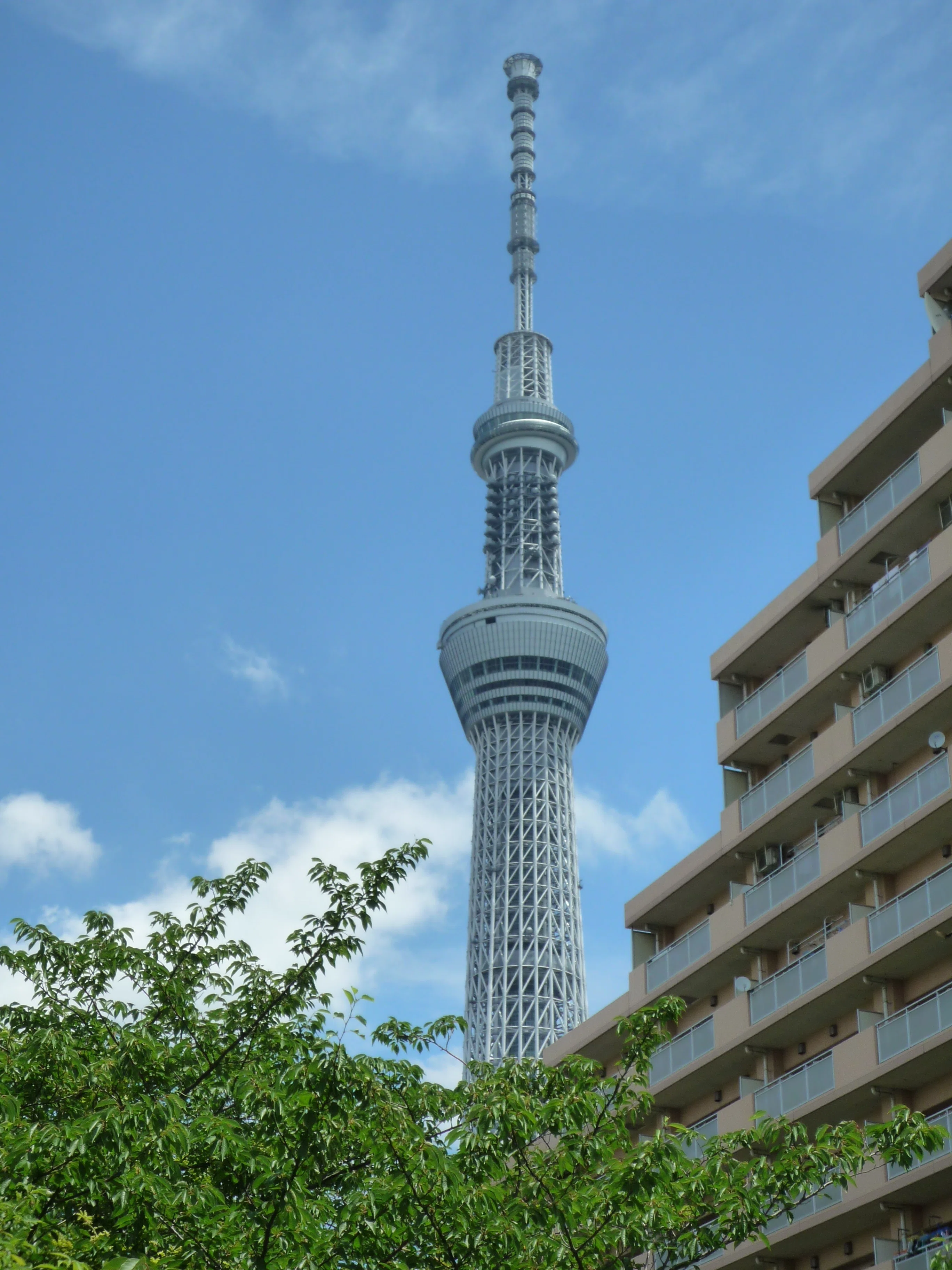 モコンさんの庭」資料写真アルバム：Materials-39【上らない東京スカイ