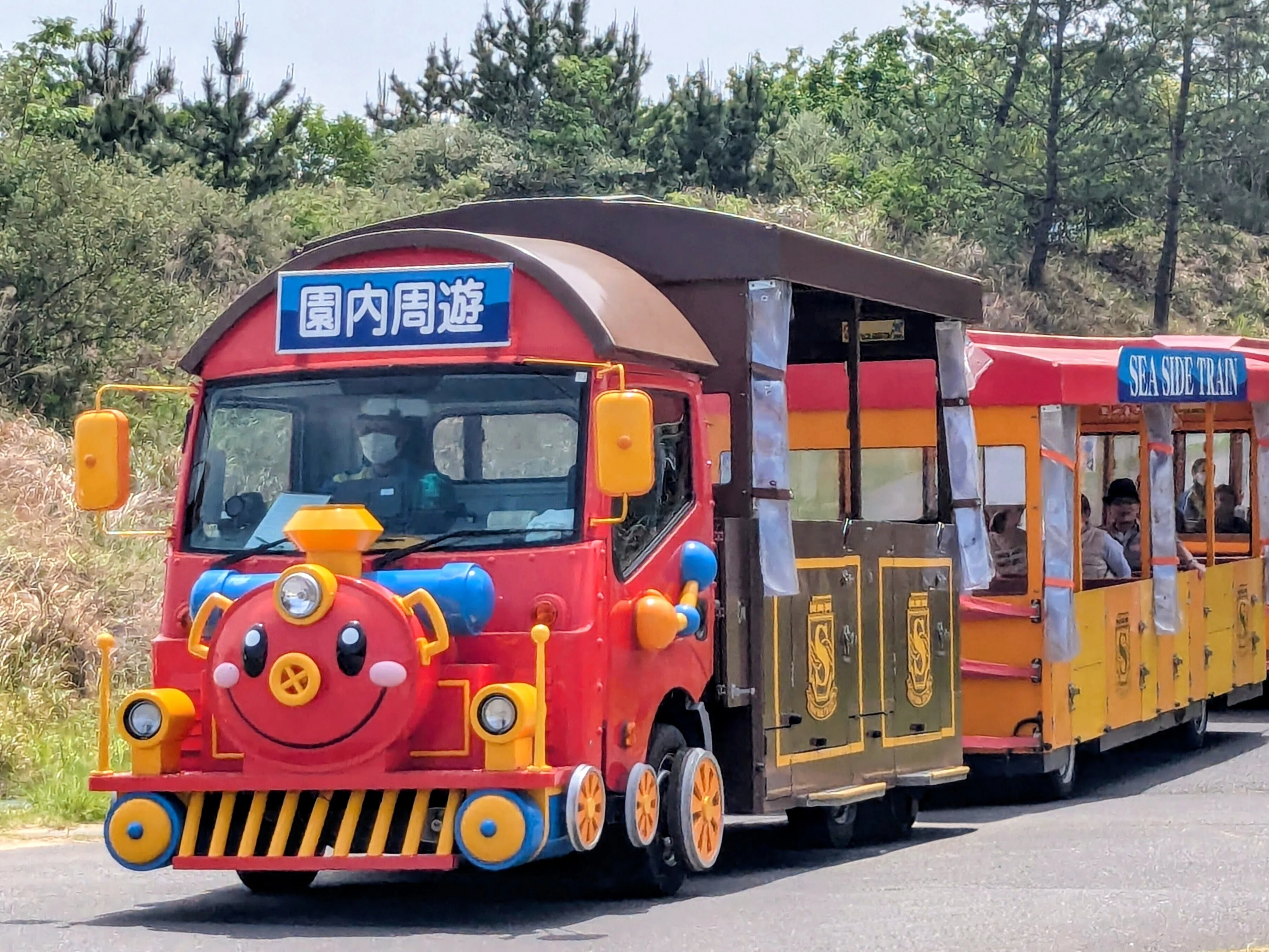 シーサイドトレインで行く「なごり花」ネモフィラ散歩:ひたち海浜公園