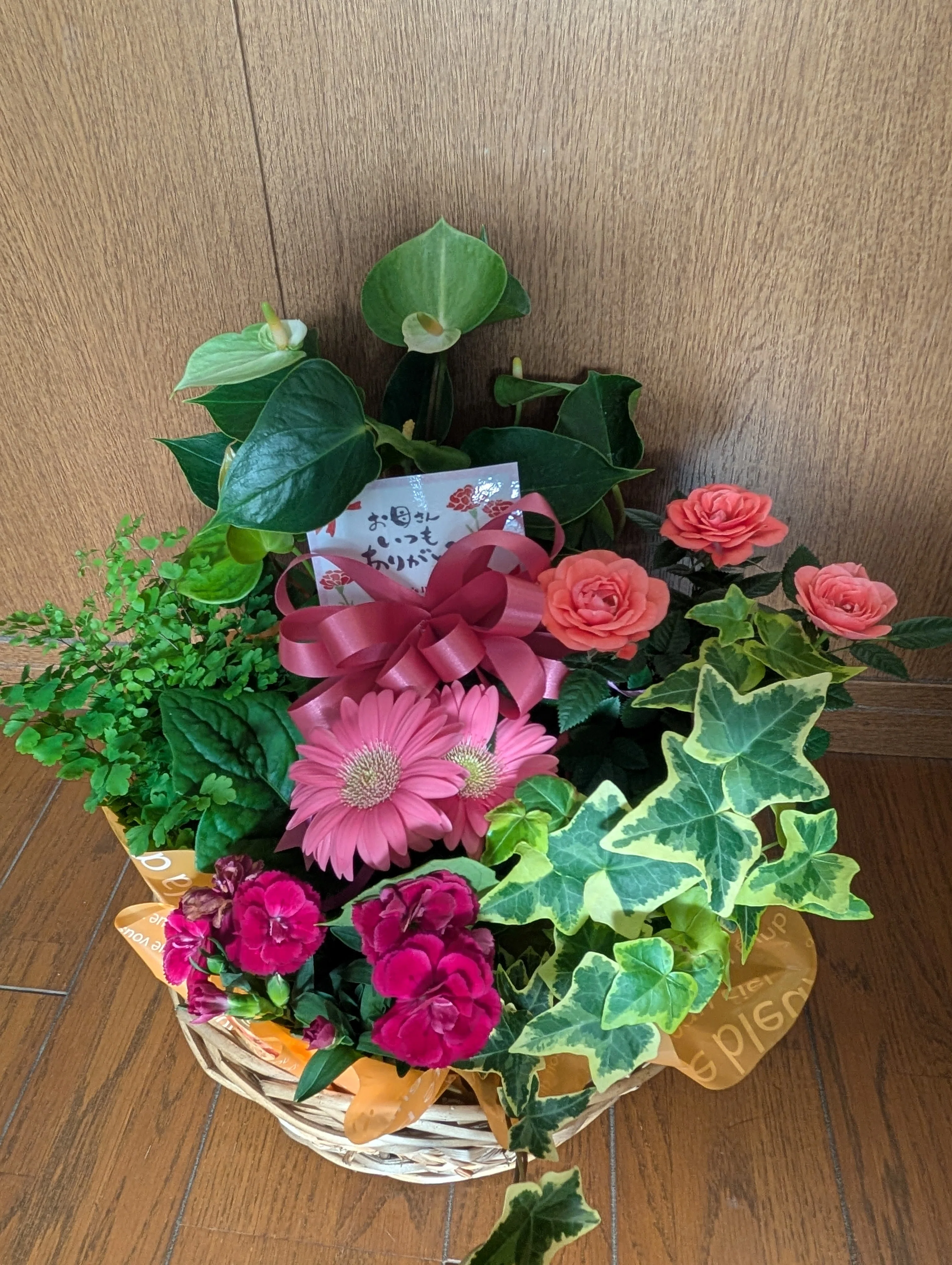いつもありがとう🌷｜ひろ（Hiro）