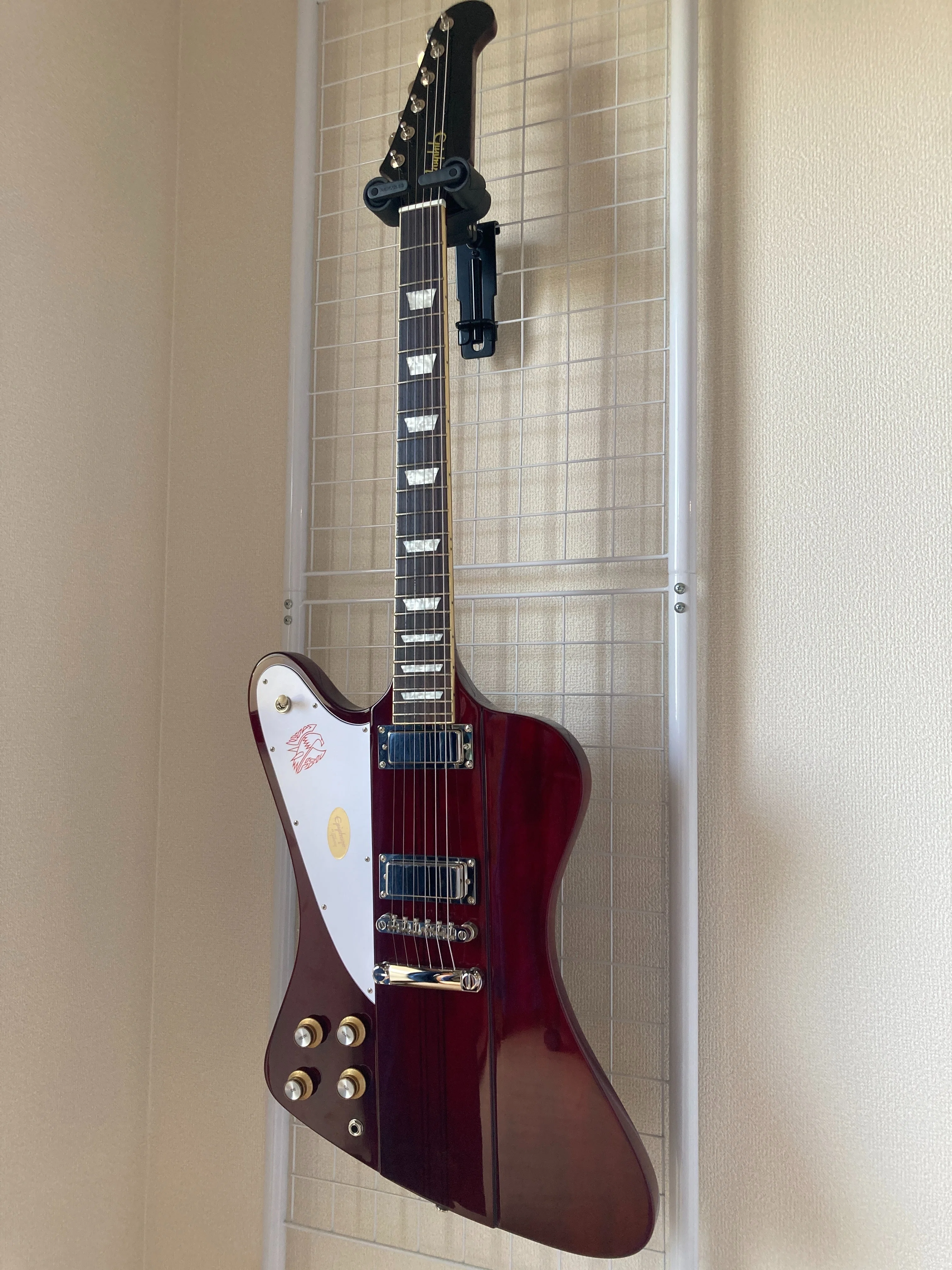 遂に左利き用エレキギターを購入。Epiphone Firebird（レフティモデル