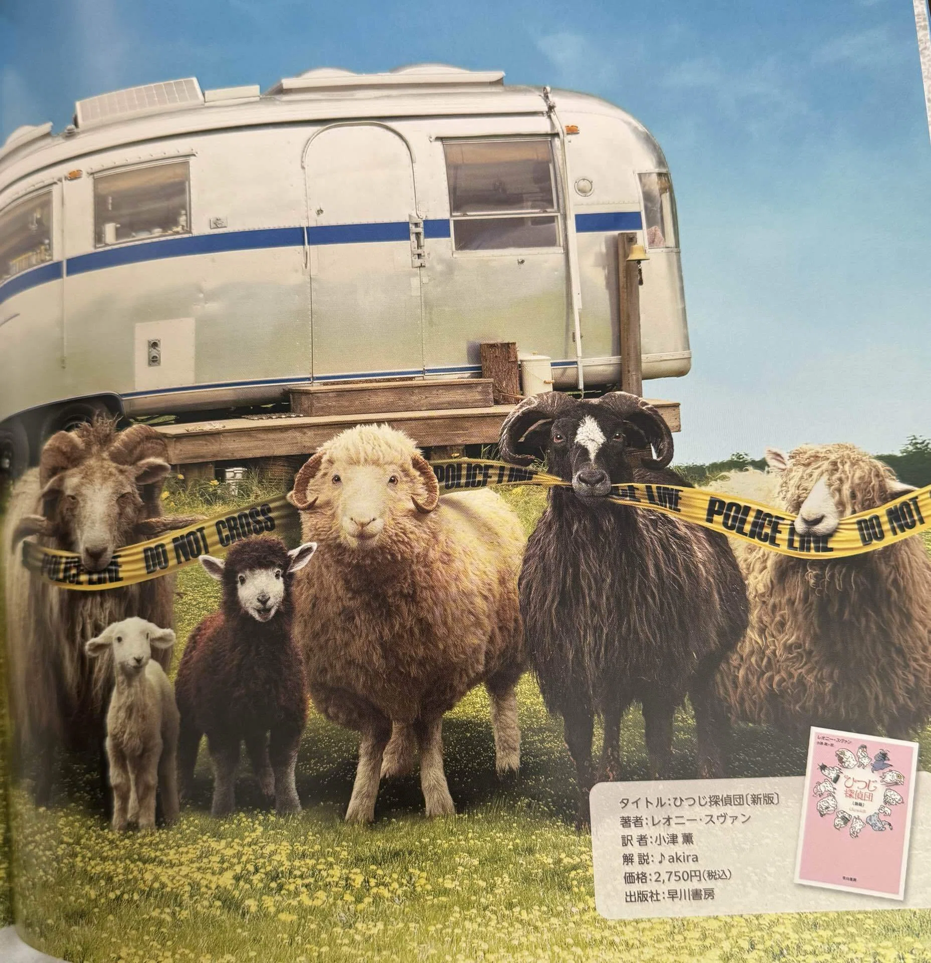 【Alec Soth：Sheep】800部限定　★新品・未読品・美本 I went to see 'The Sheep Detectives'!｜百地百衣