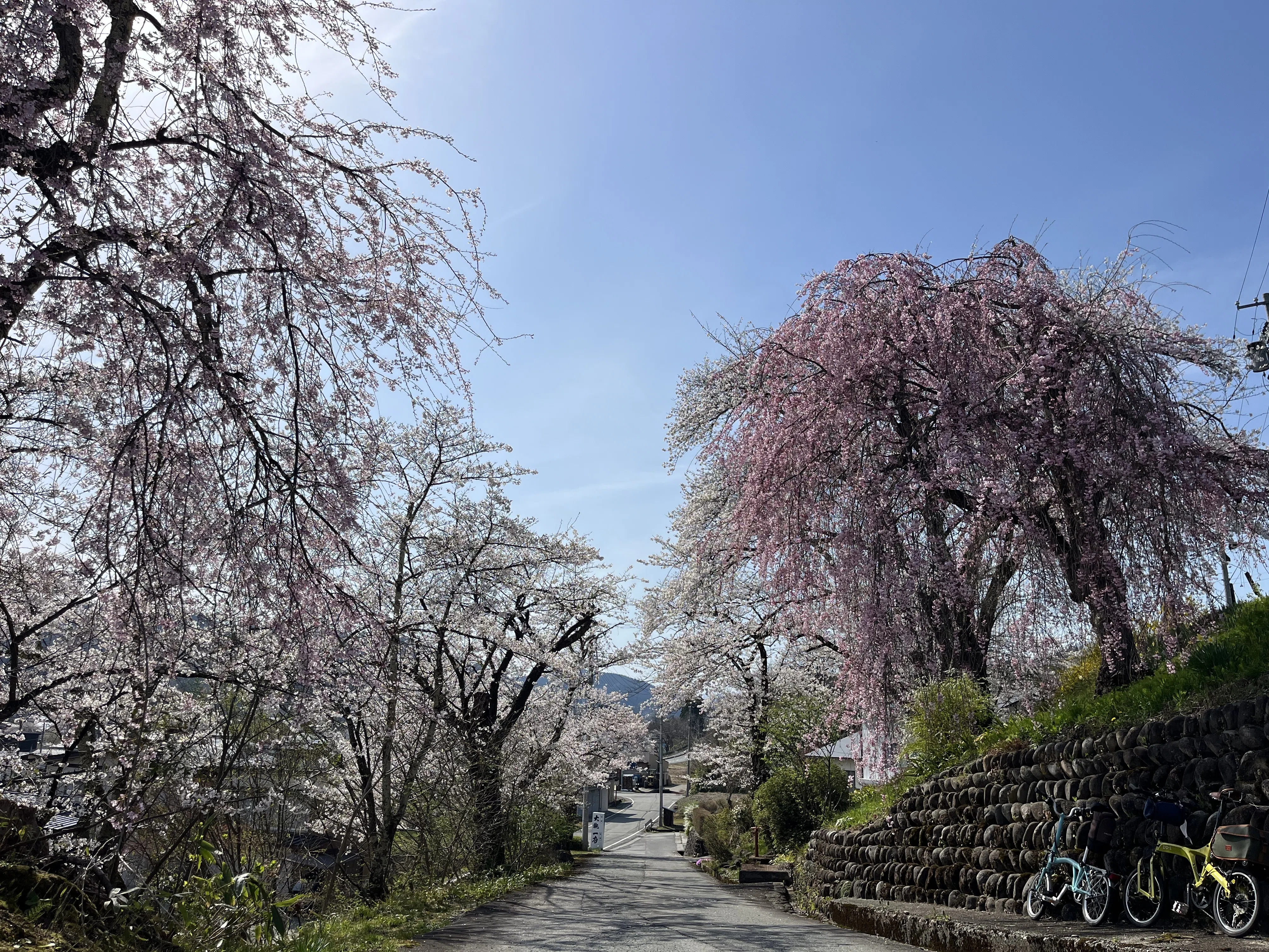 yukiyuki様高品質 グリーン桜瑪瑙 ポイント 六角柱2